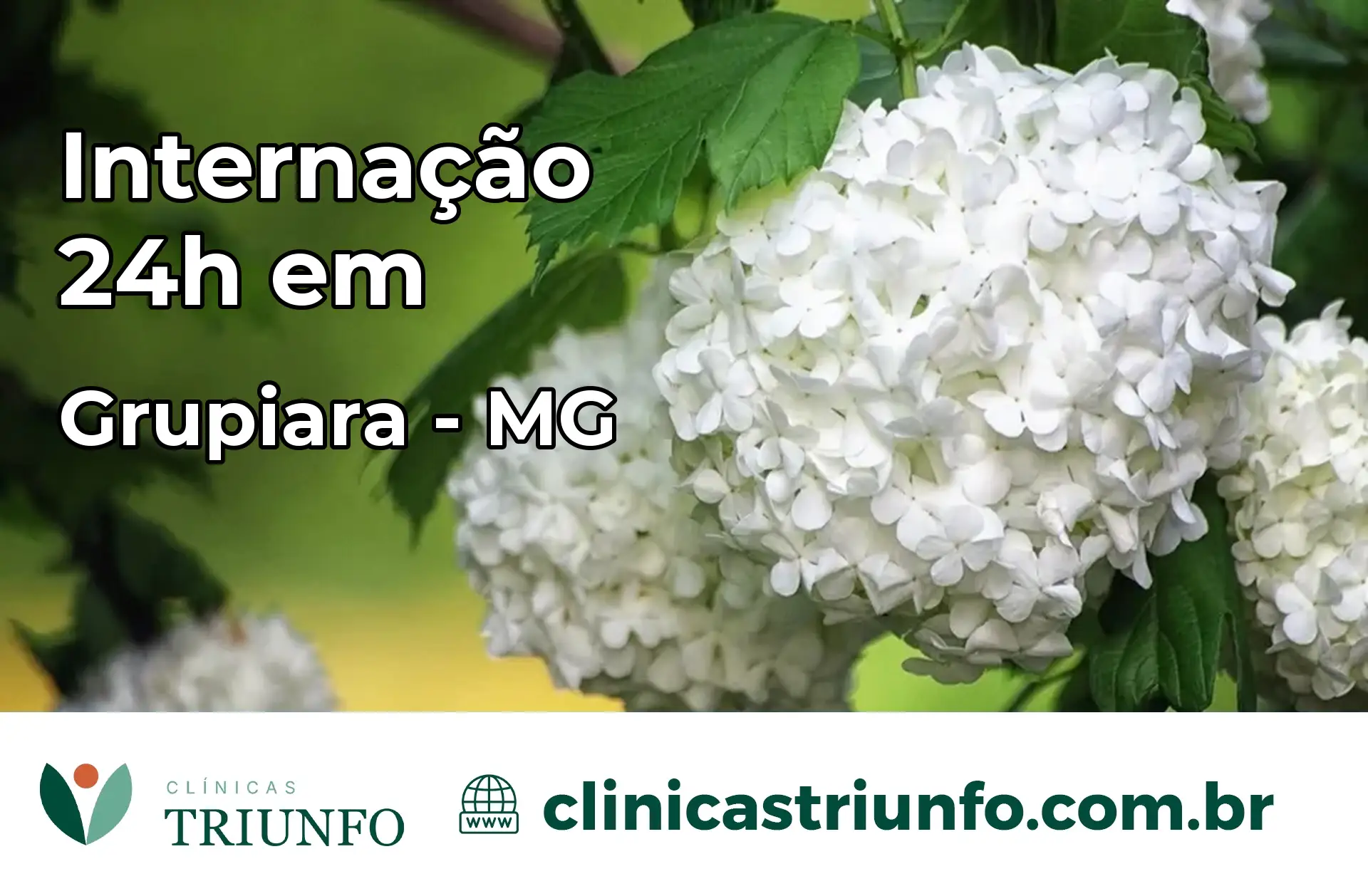 Internação 24 horas em Grupiara – MG