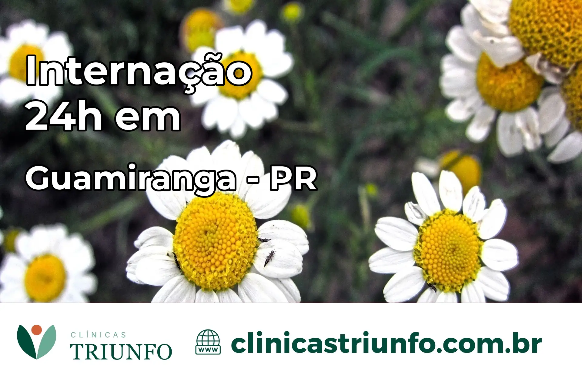 Internação 24 horas em Guamiranga – PR