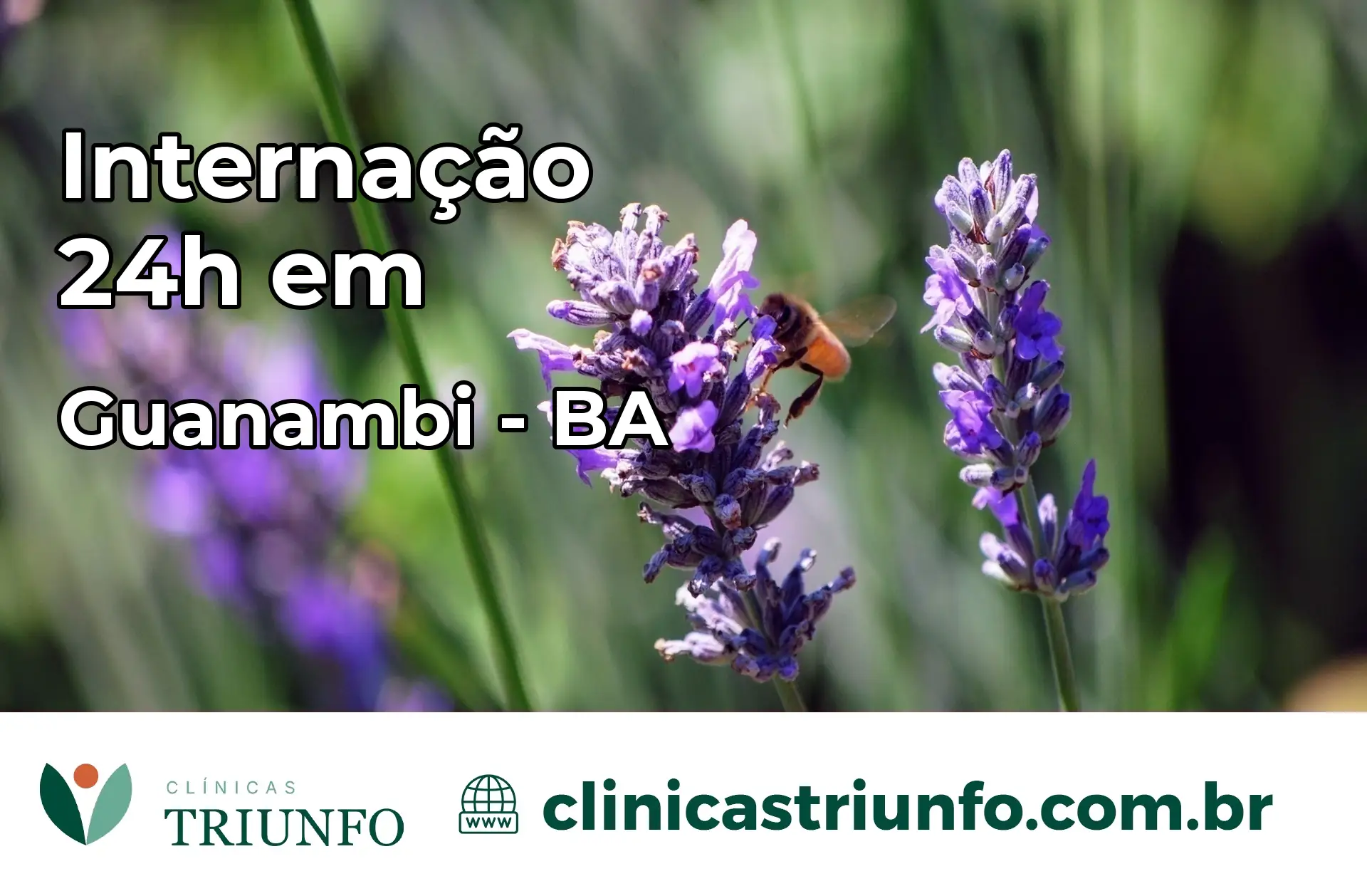 Internação 24 horas em Guanambi – BA