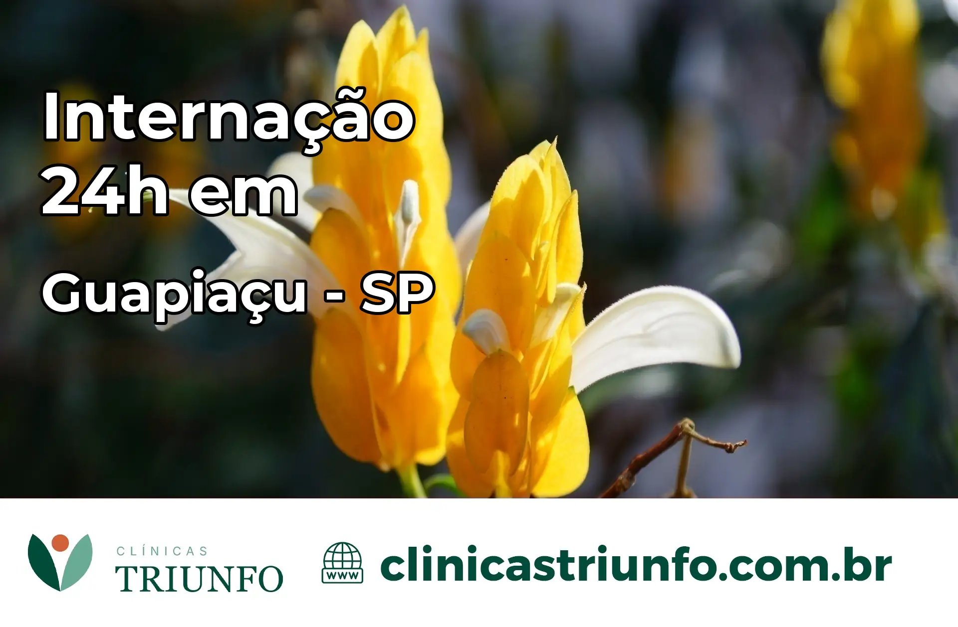 Internação 24 horas em Guapiaçu – SP