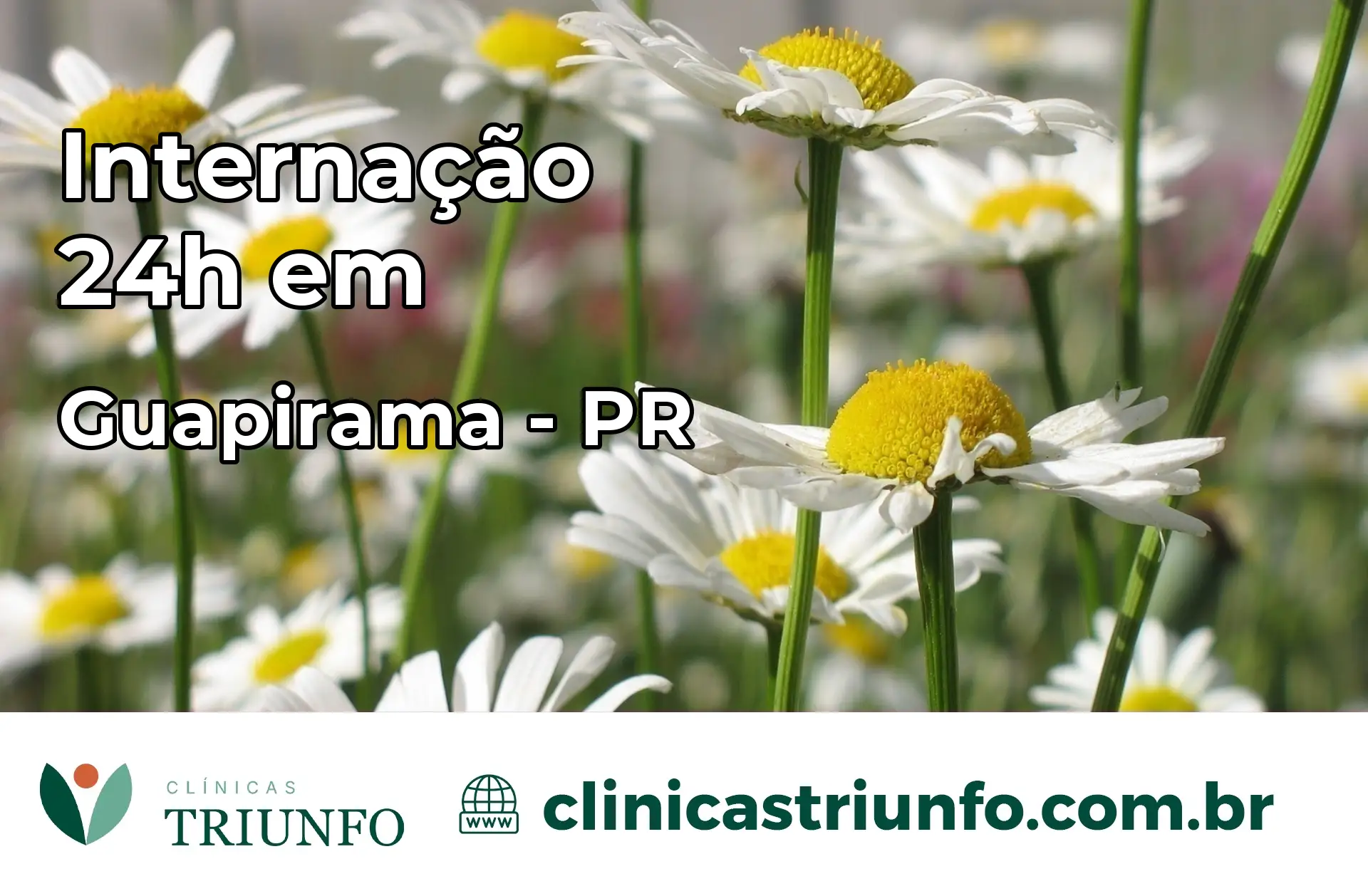 Internação 24 horas em Guapirama – PR
