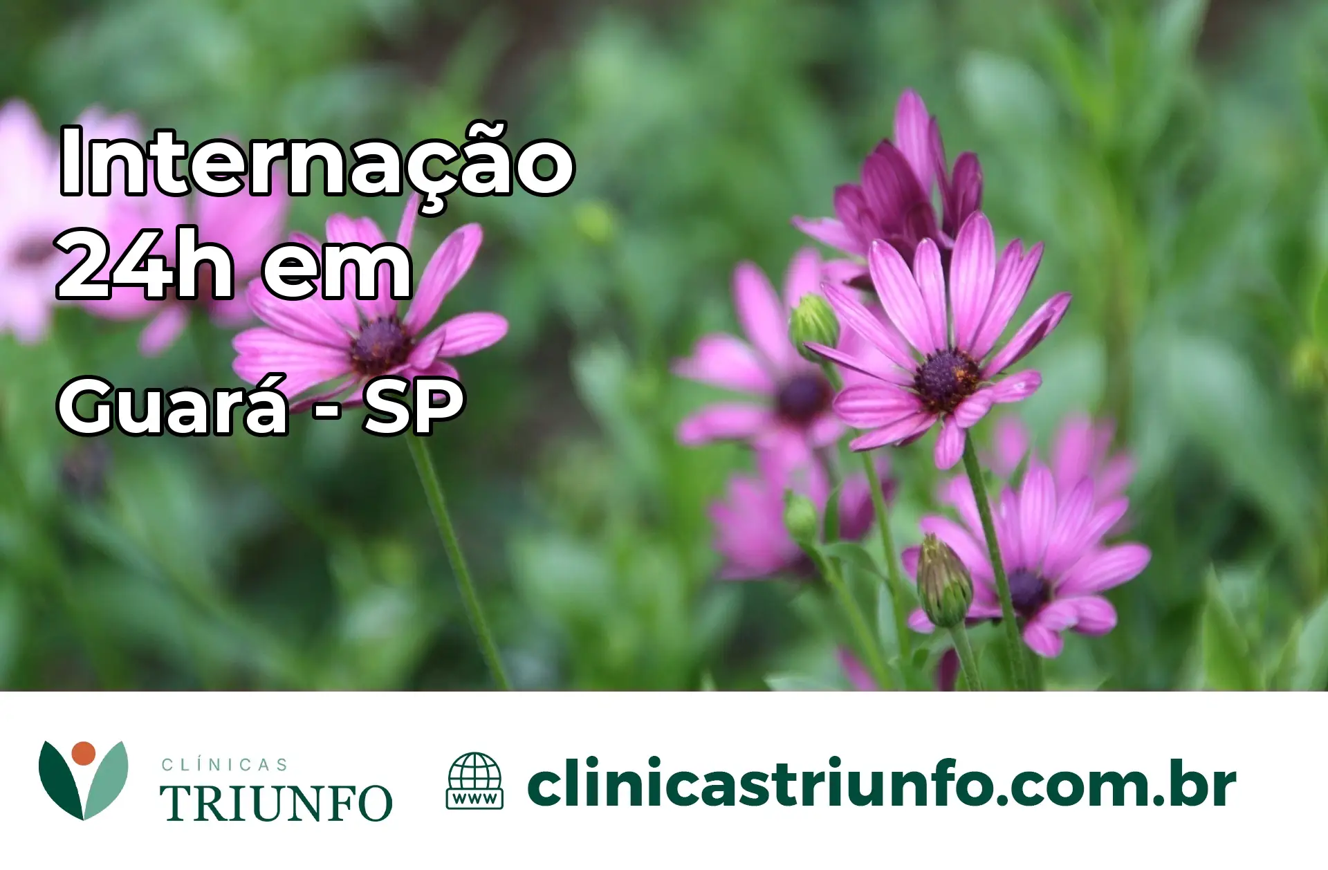 Internação 24 horas em Guará – SP