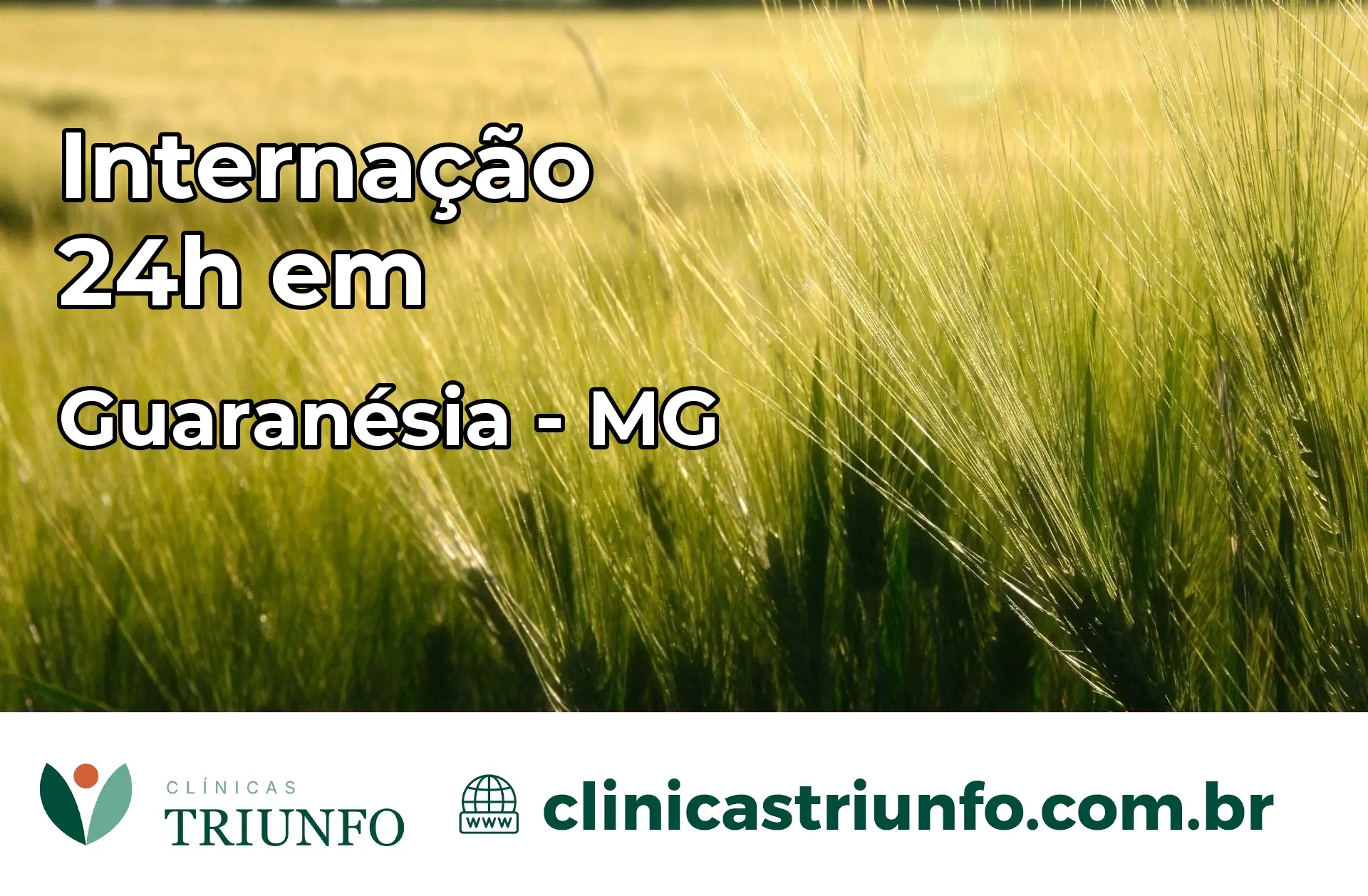 Internação 24 horas em Guaranésia – MG