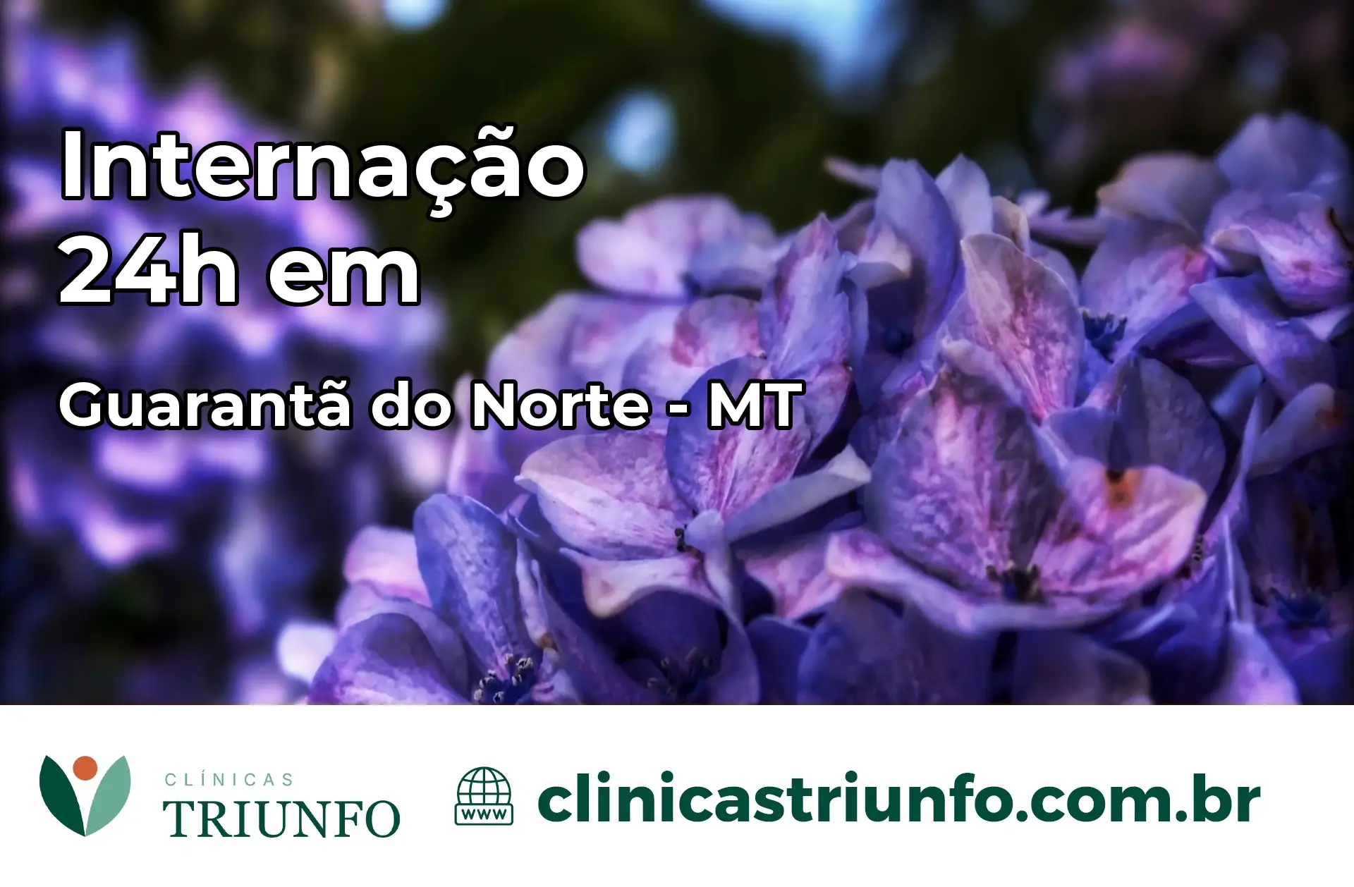 Internação 24 horas em Guarantã do Norte – MT