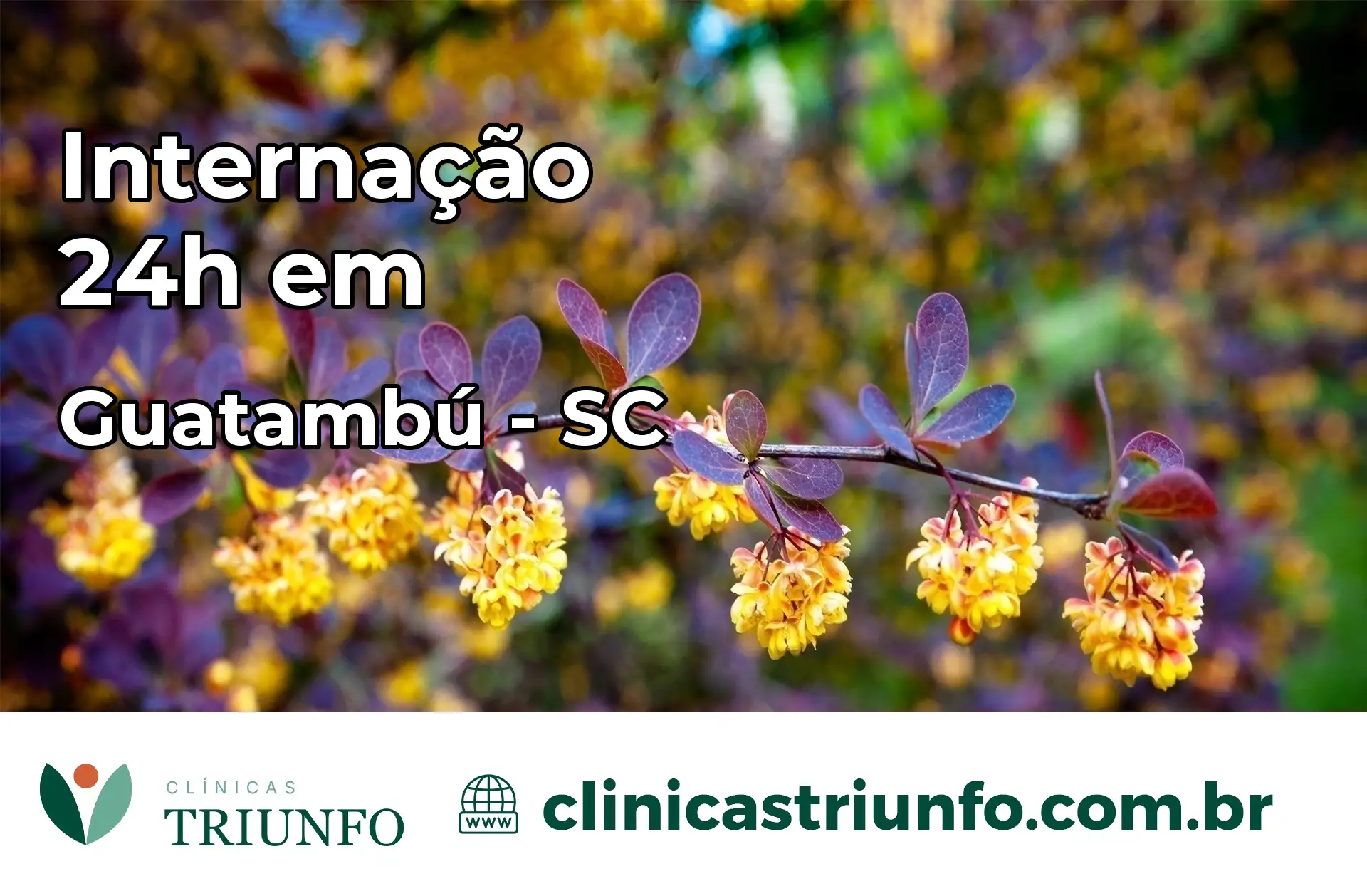 Internação 24 horas em Guatambú – SC