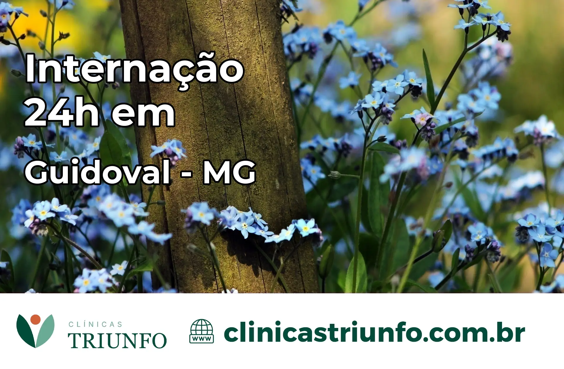 Internação 24 horas em Guidoval – MG