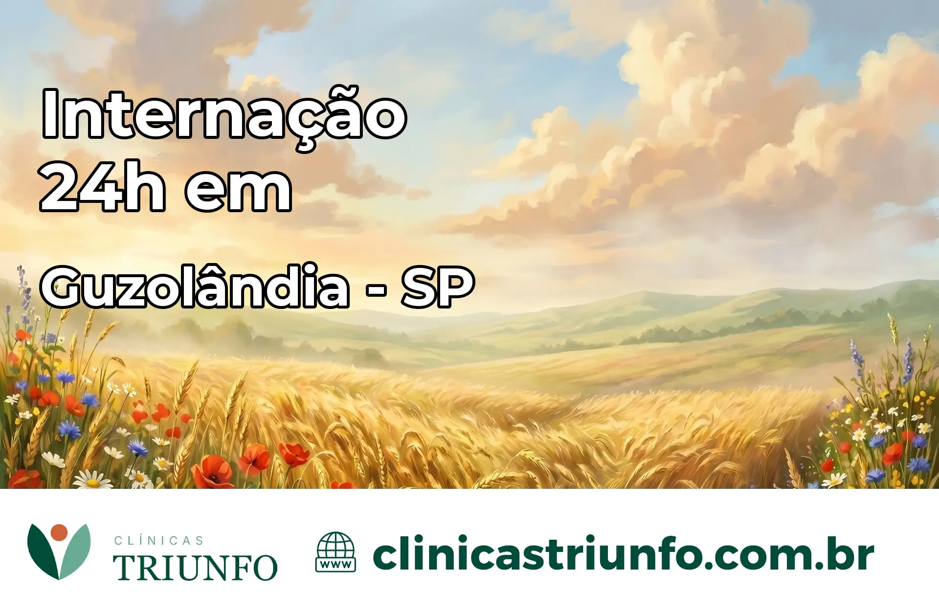 Internação 24 horas em Guzolândia – SP