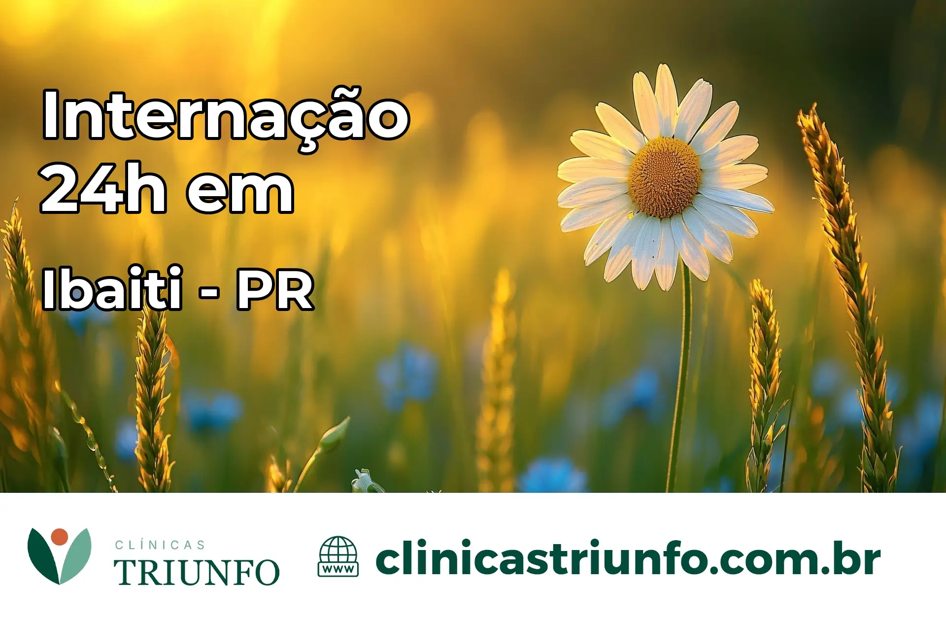 Internação 24 horas em Ibaiti – PR