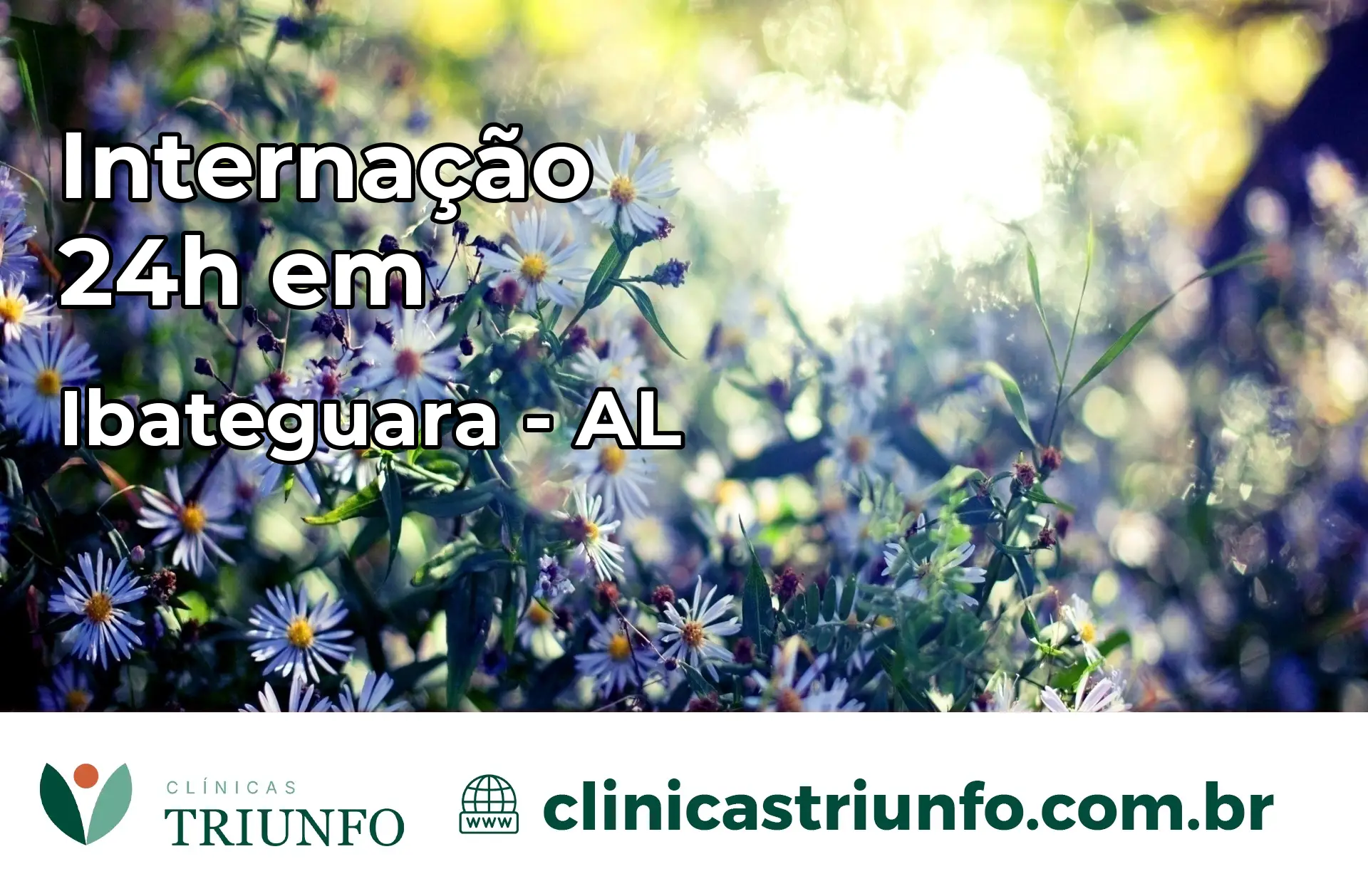 Internação 24 horas em Ibateguara – AL