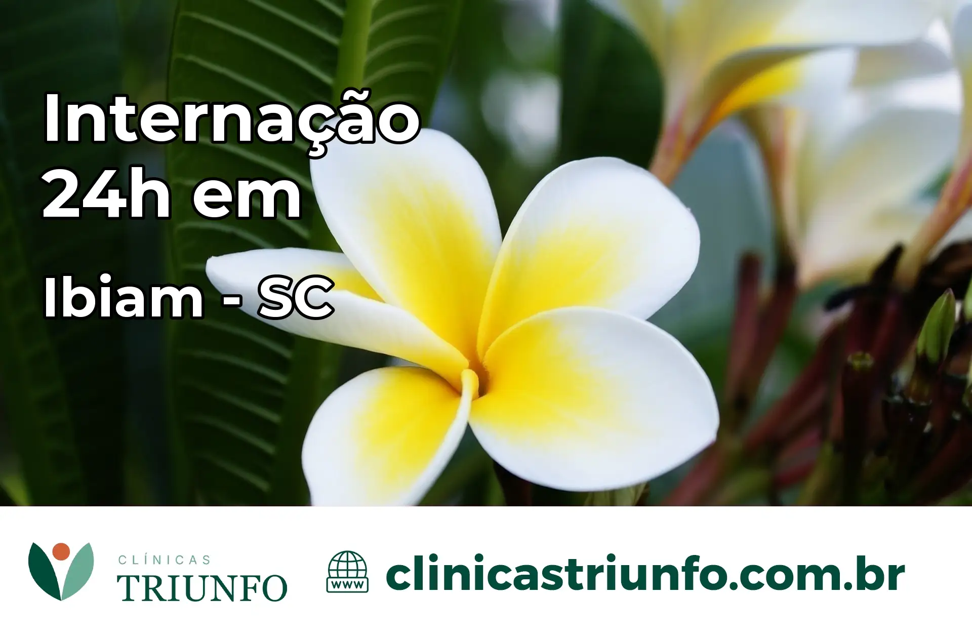Internação 24 horas em Ibiam – SC