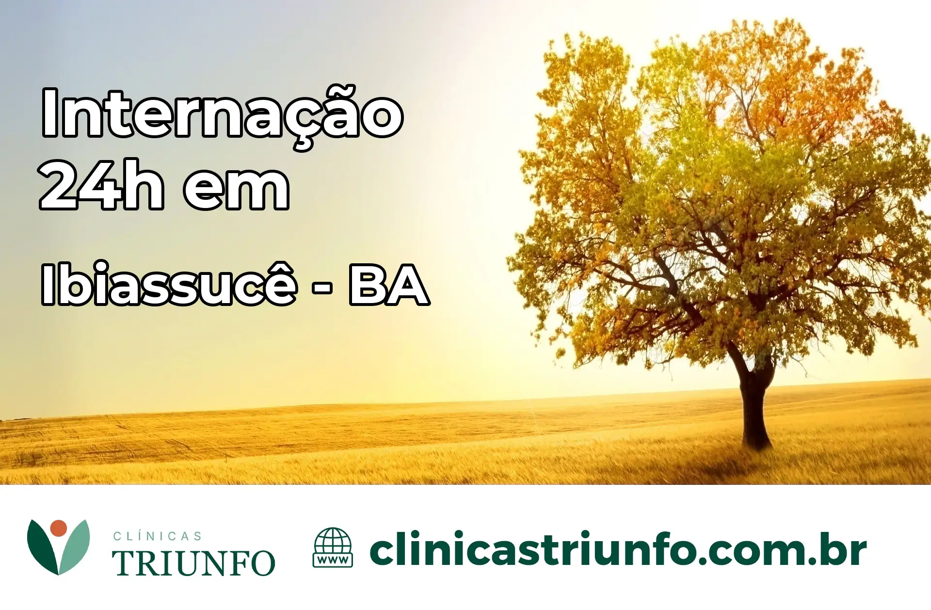 Internação 24 horas em Ibiassucê – BA