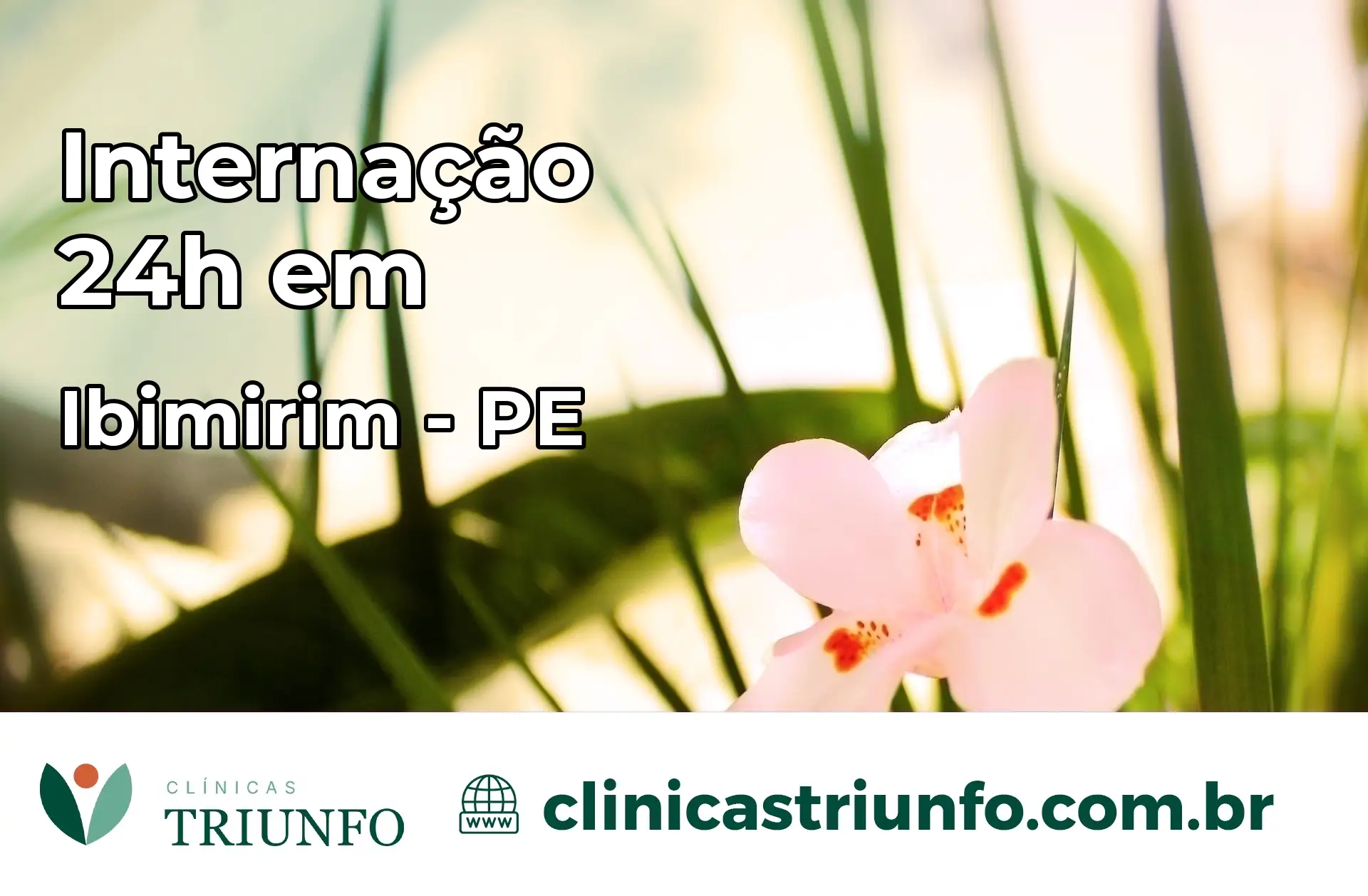 Internação 24 horas em Ibimirim – PE