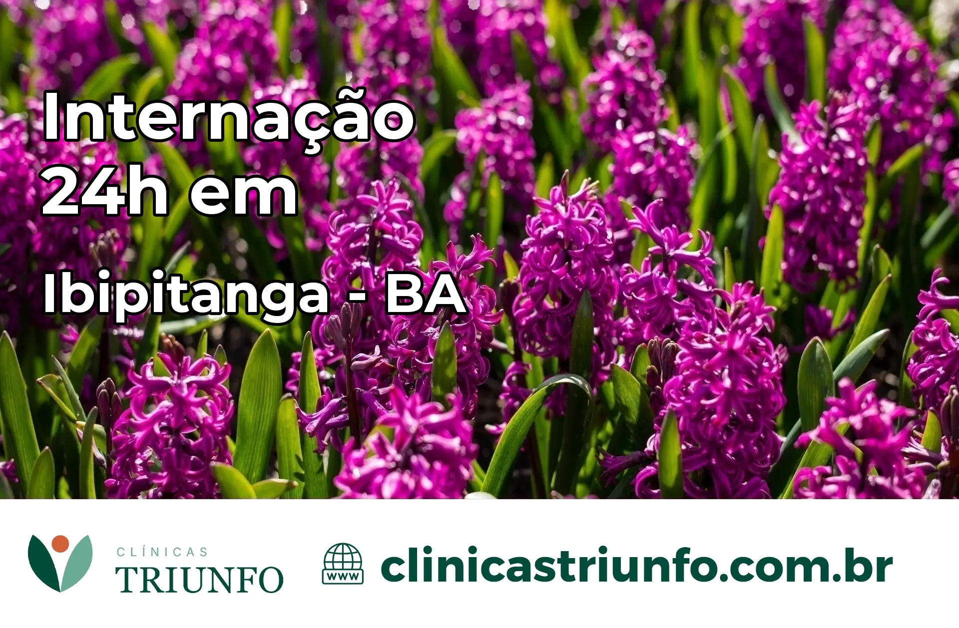 Internação 24 horas em Ibipitanga – BA