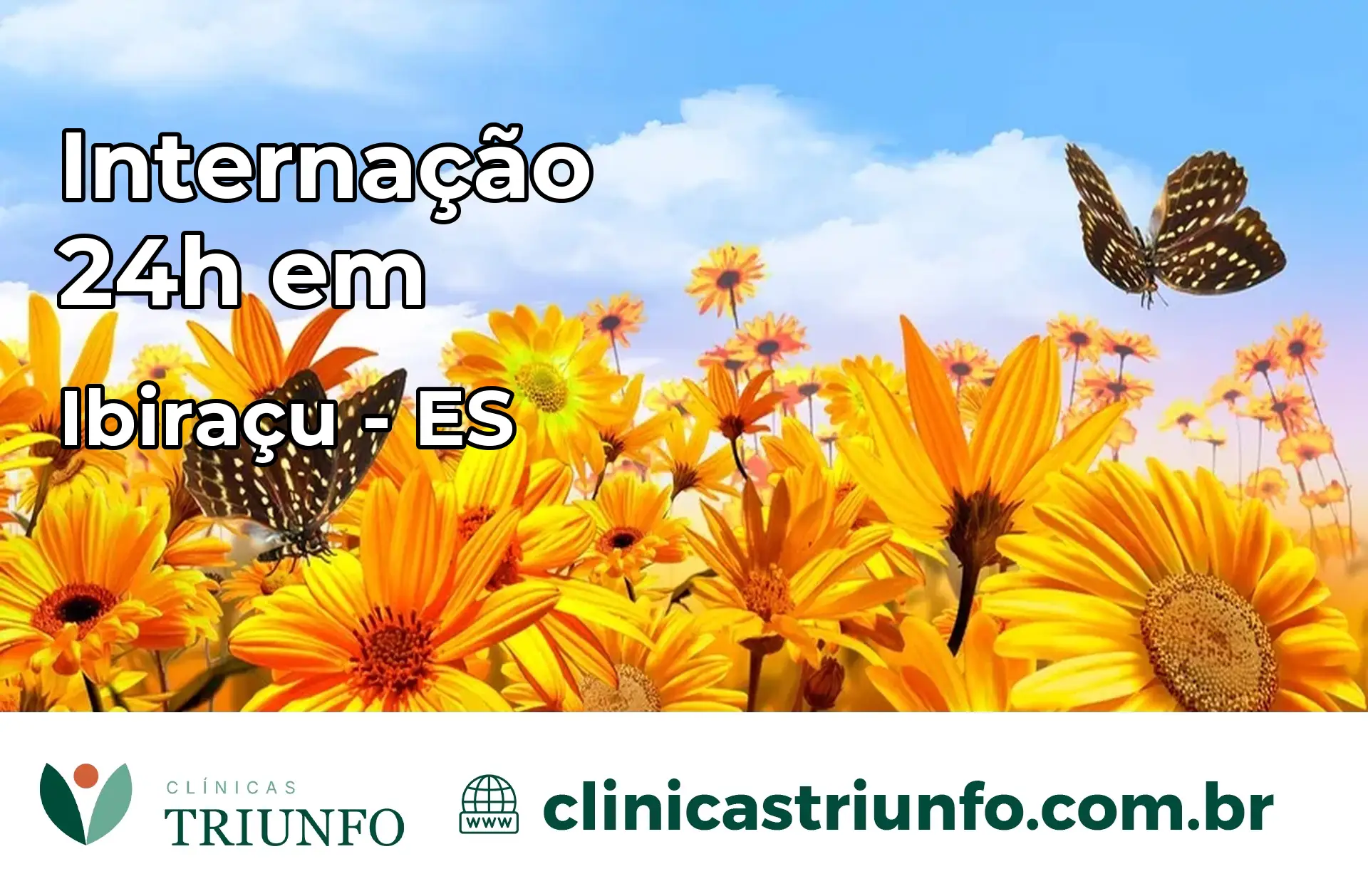 Internação 24 horas em Ibiraçu – ES