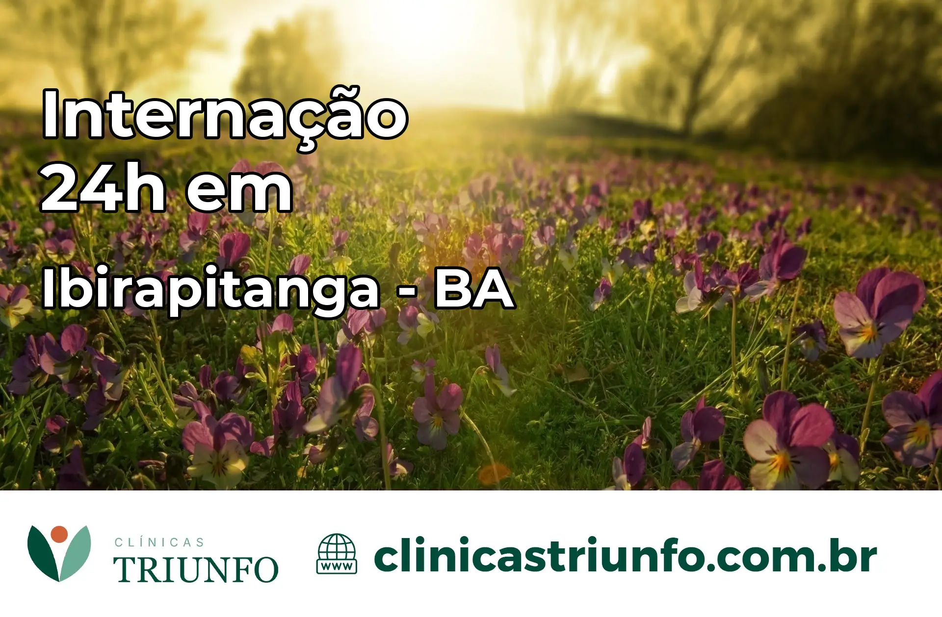 Internação 24 horas em Ibirapitanga – BA