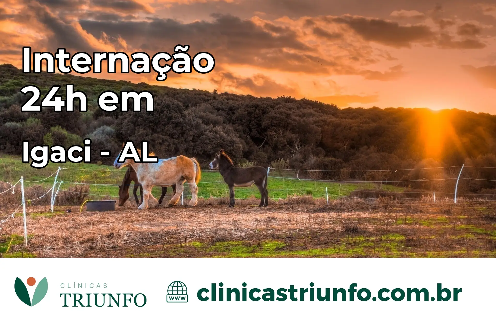 Internação 24 horas em Igaci – AL
