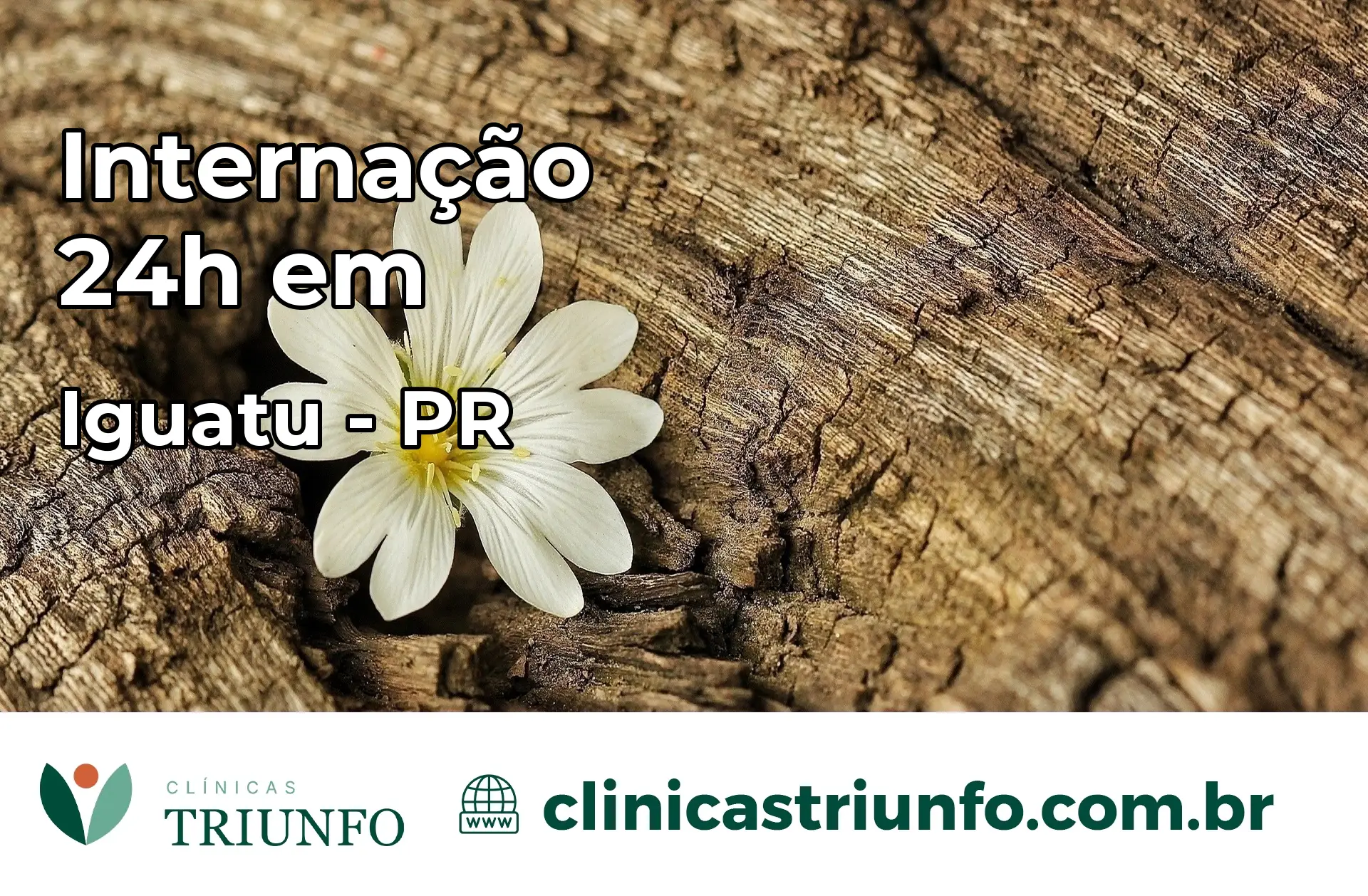 Internação 24 horas em Iguatu – PR