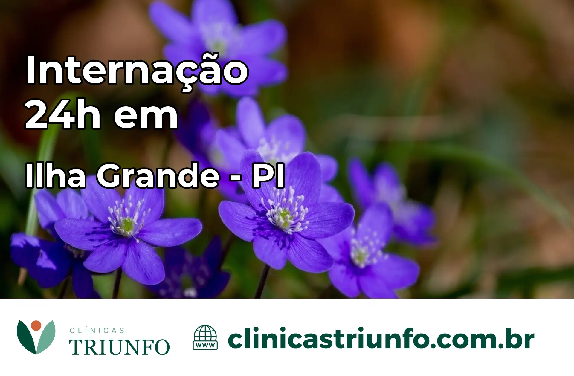 Internação 24 horas em Ilha Grande – PI