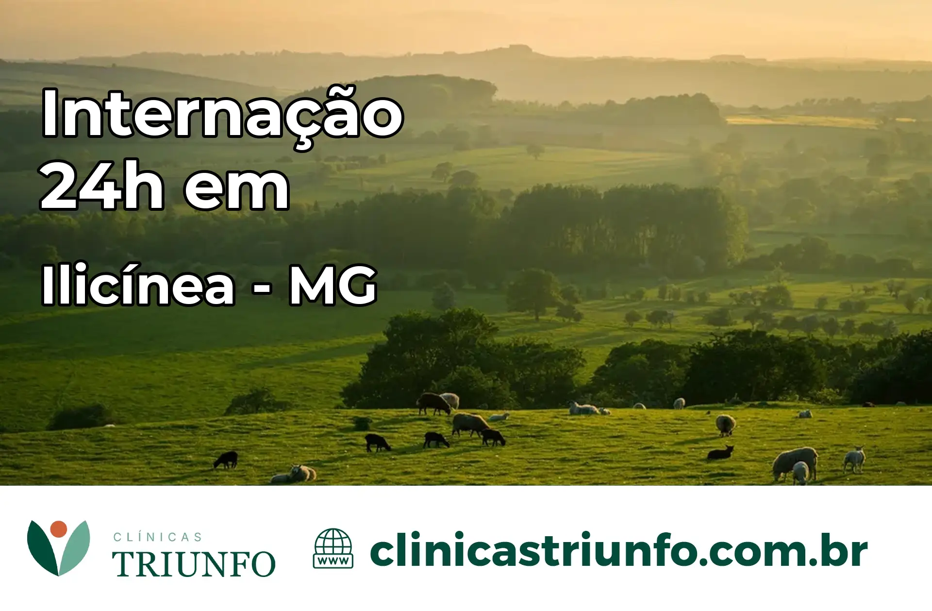 Internação 24 horas em Ilicínea – MG