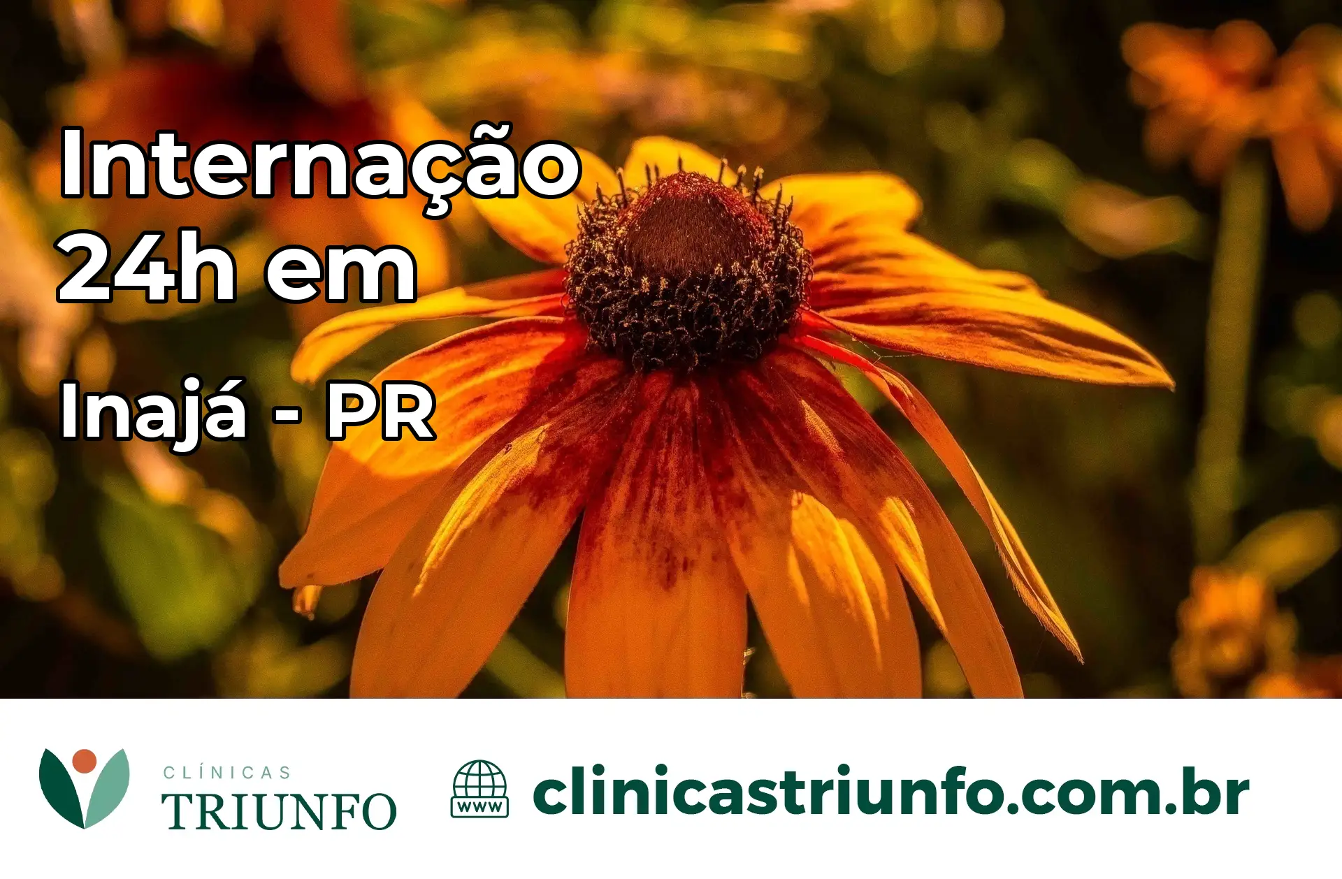 Internação 24 horas em Inajá – PR