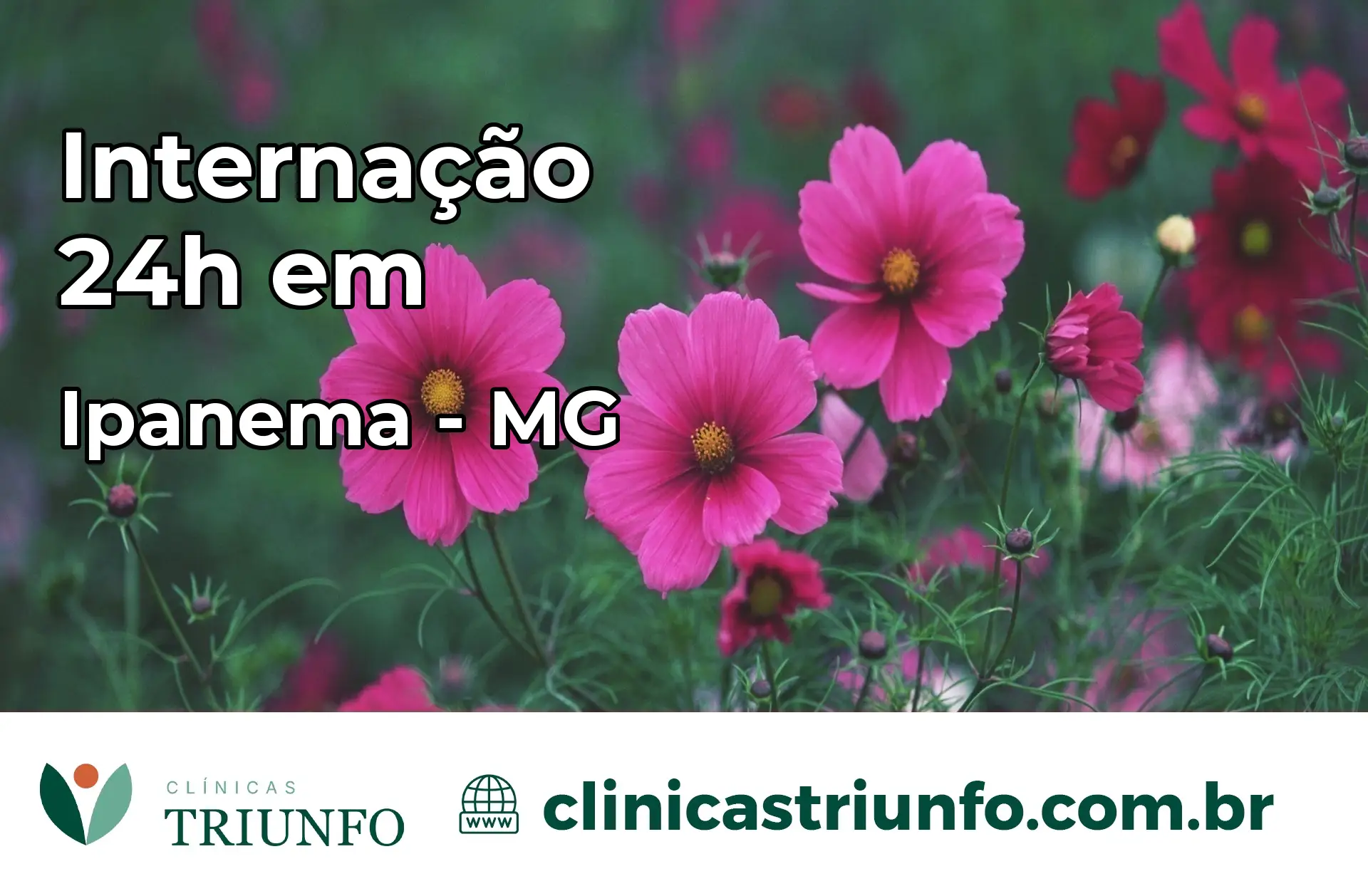 Internação 24 horas em Ipanema – MG