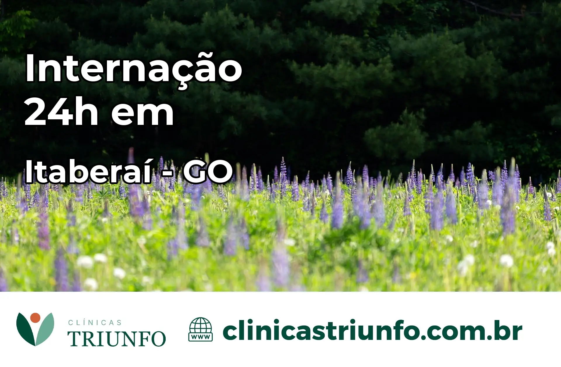 Internação 24 horas em Itaberaí – GO