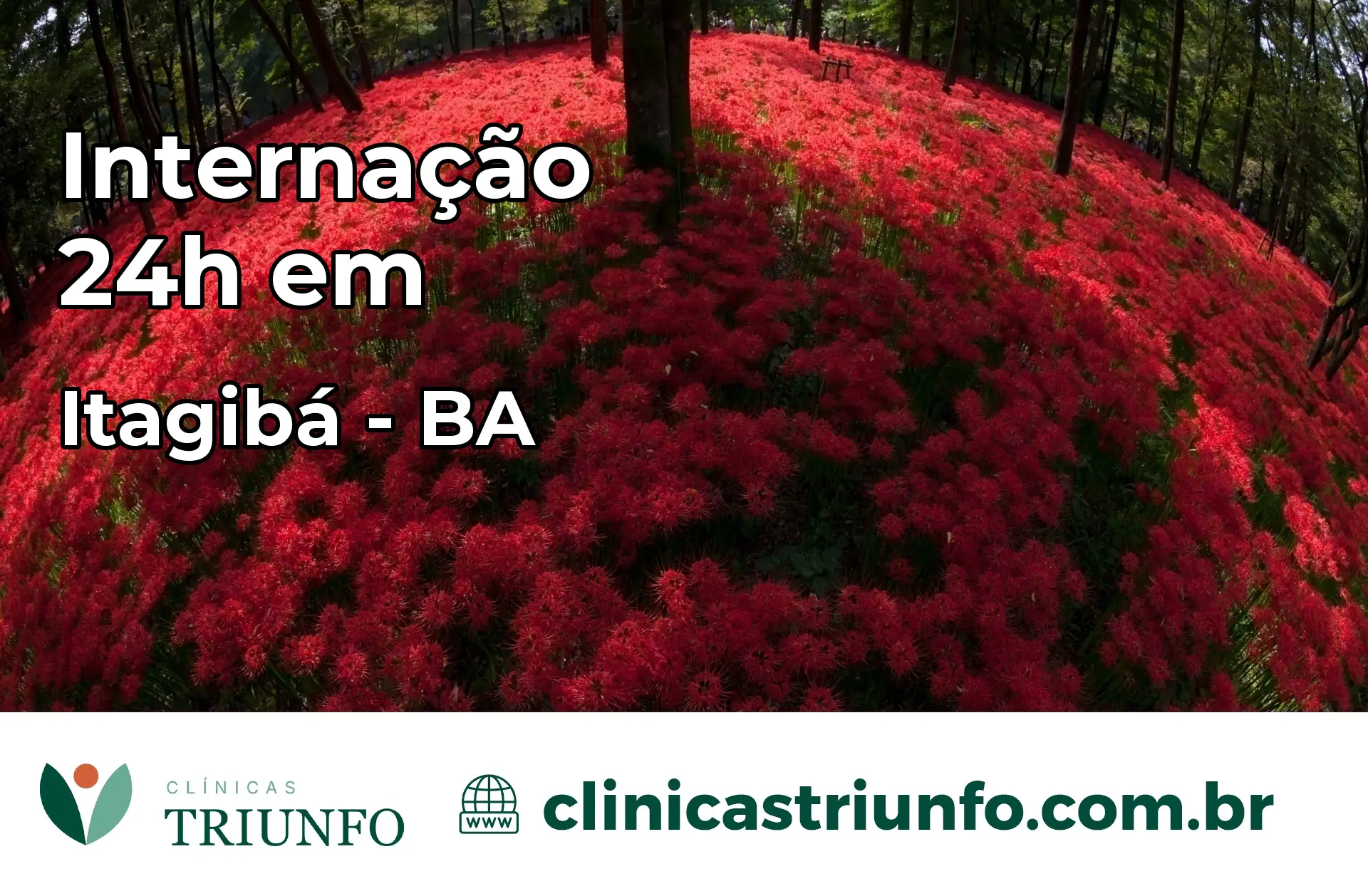 Internação 24 horas em Itagibá – BA