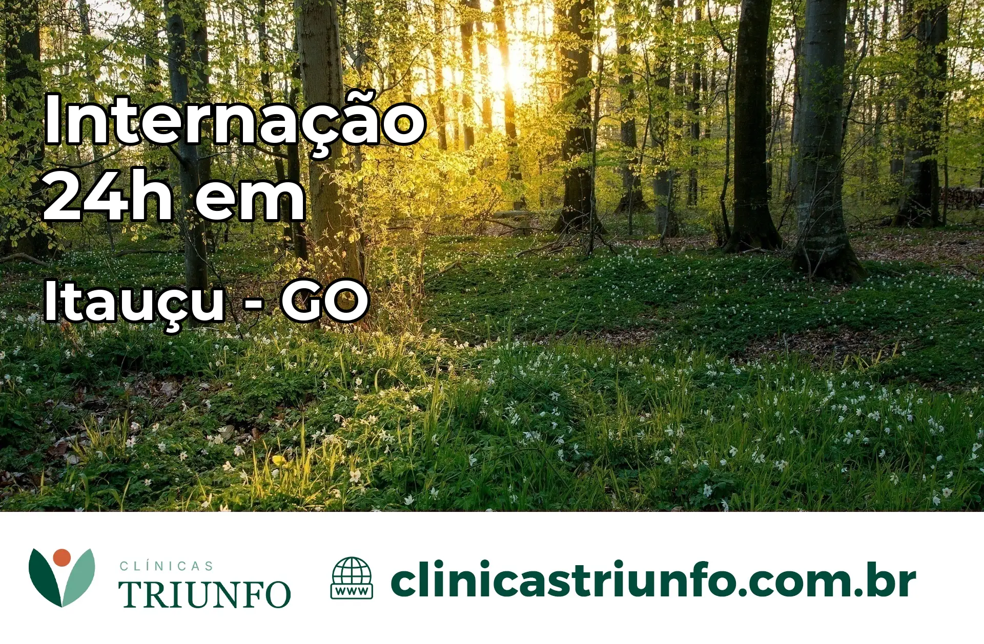 Internação 24 horas em Itauçu – GO