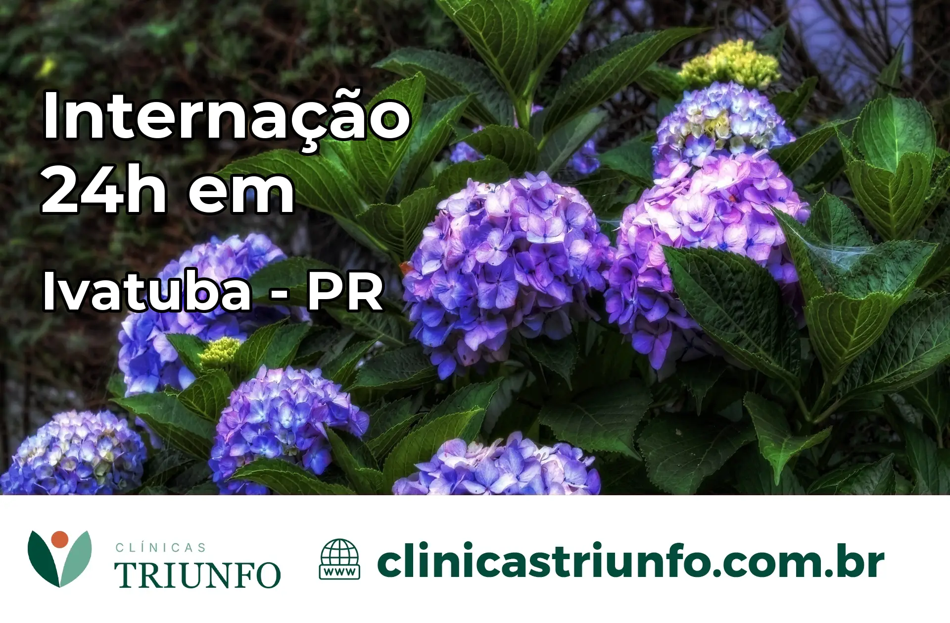 Internação 24 horas em Ivatuba – PR