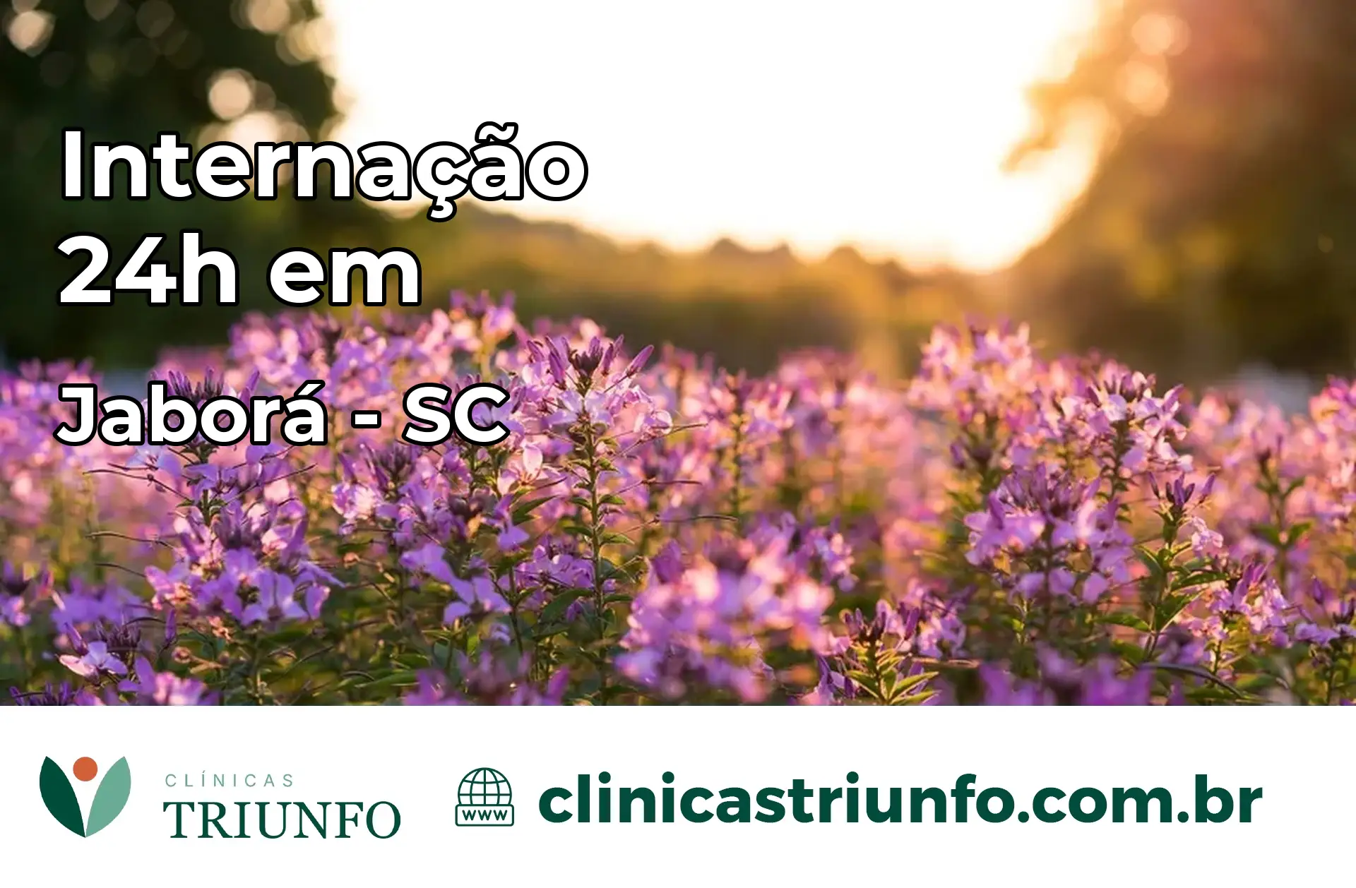 Internação 24 horas em Jaborá – SC