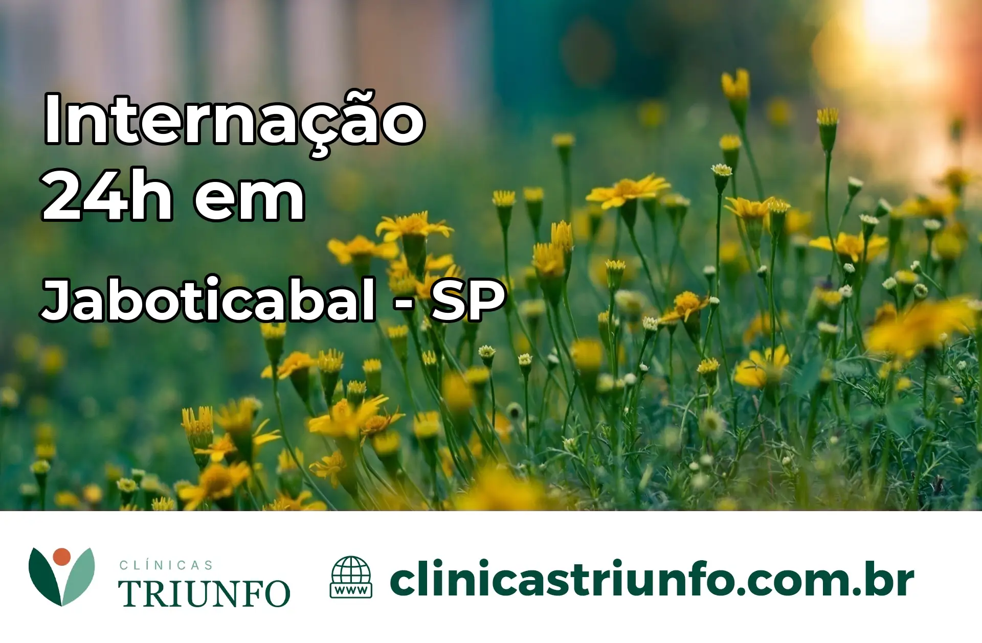 Internação 24 horas em Jaboticabal – SP