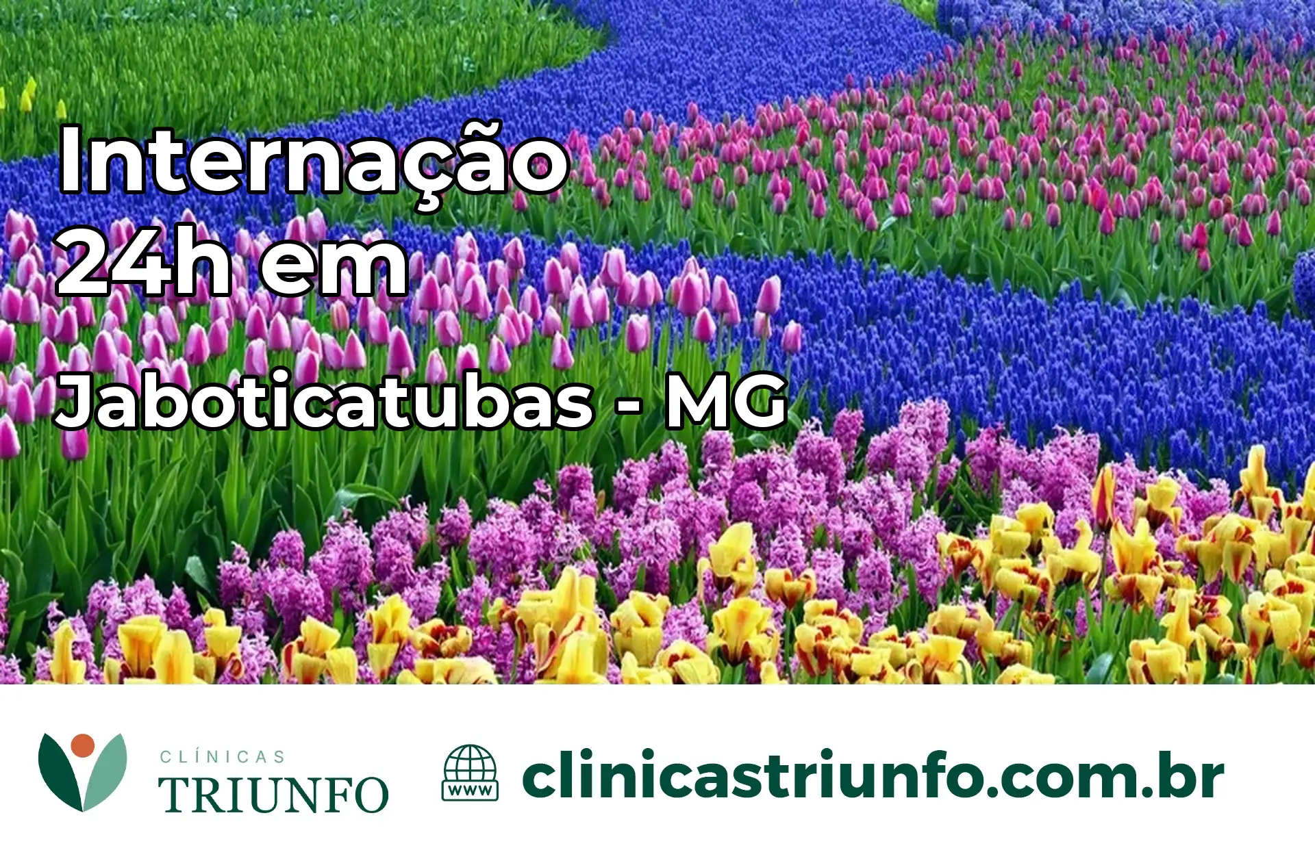 Internação 24 horas em Jaboticatubas – MG