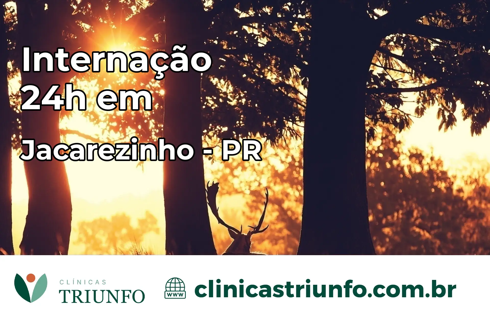 Internação 24 horas em Jacarezinho – PR