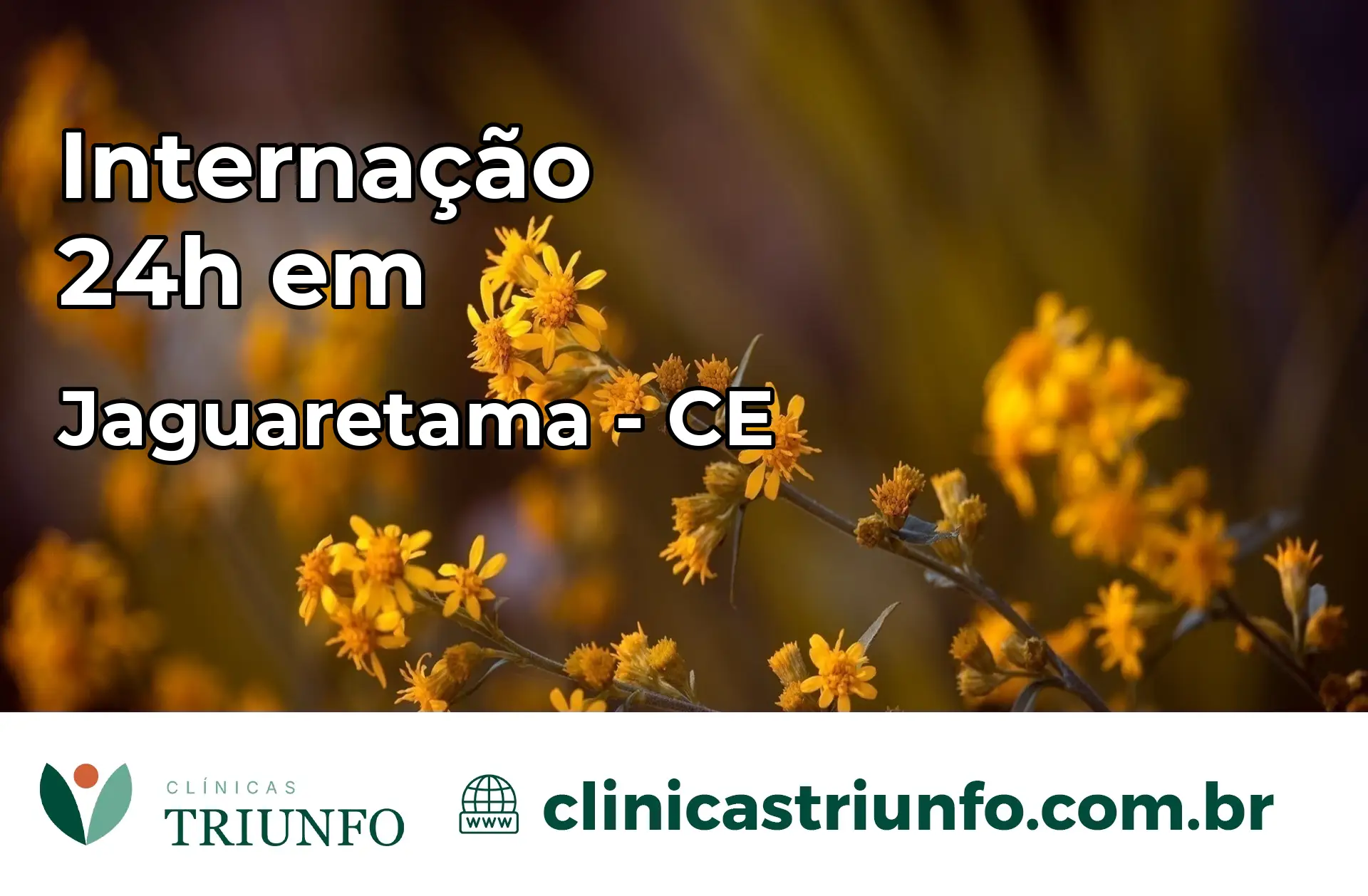 Internação 24 horas em Jaguaretama – CE