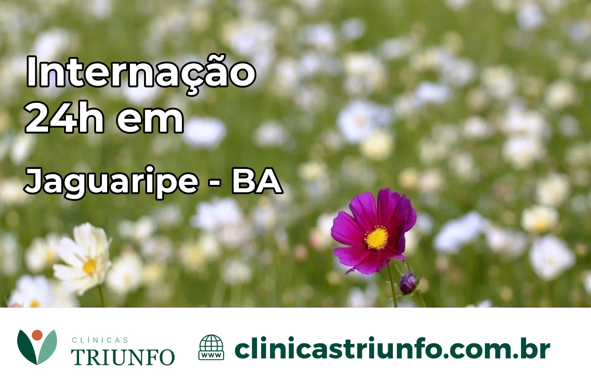 Internação 24 horas em Jaguaripe – BA
