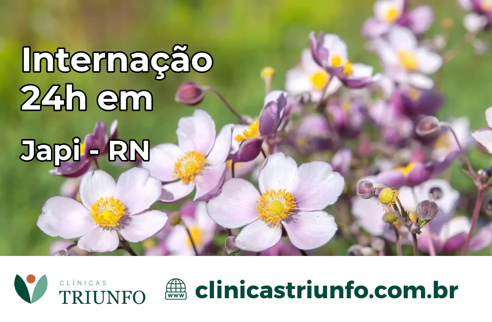 Internação 24 horas em Japi – RN