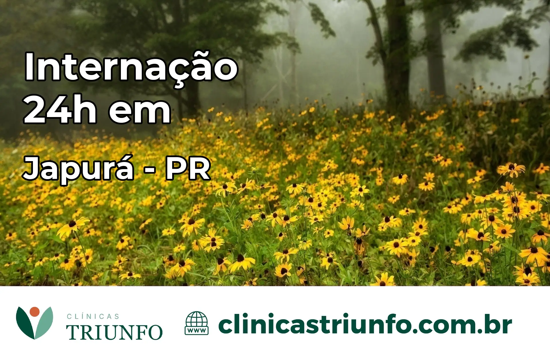 Internação 24 horas em Japurá – PR