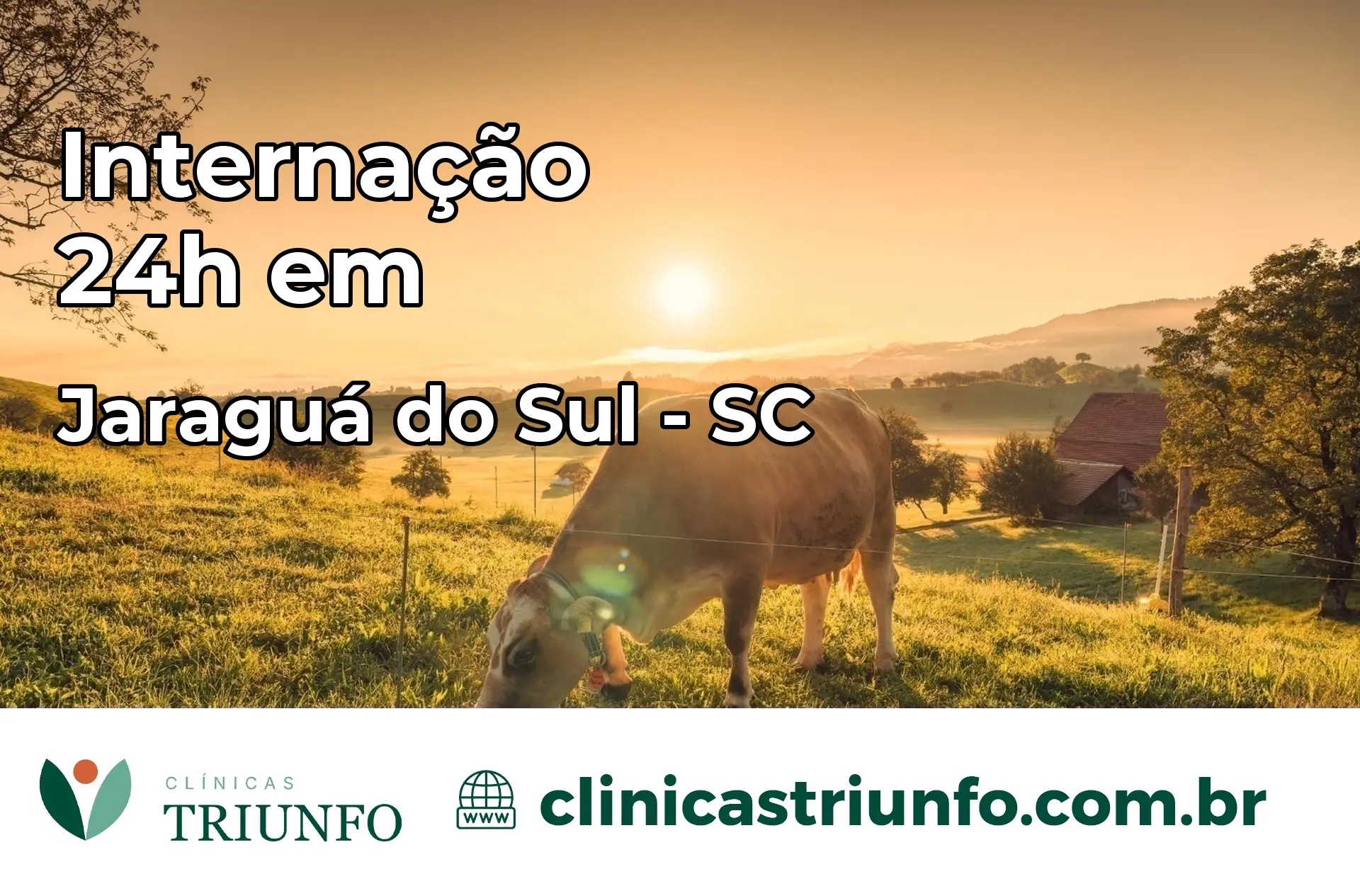 Internação 24 horas em Jaraguá do Sul – SC