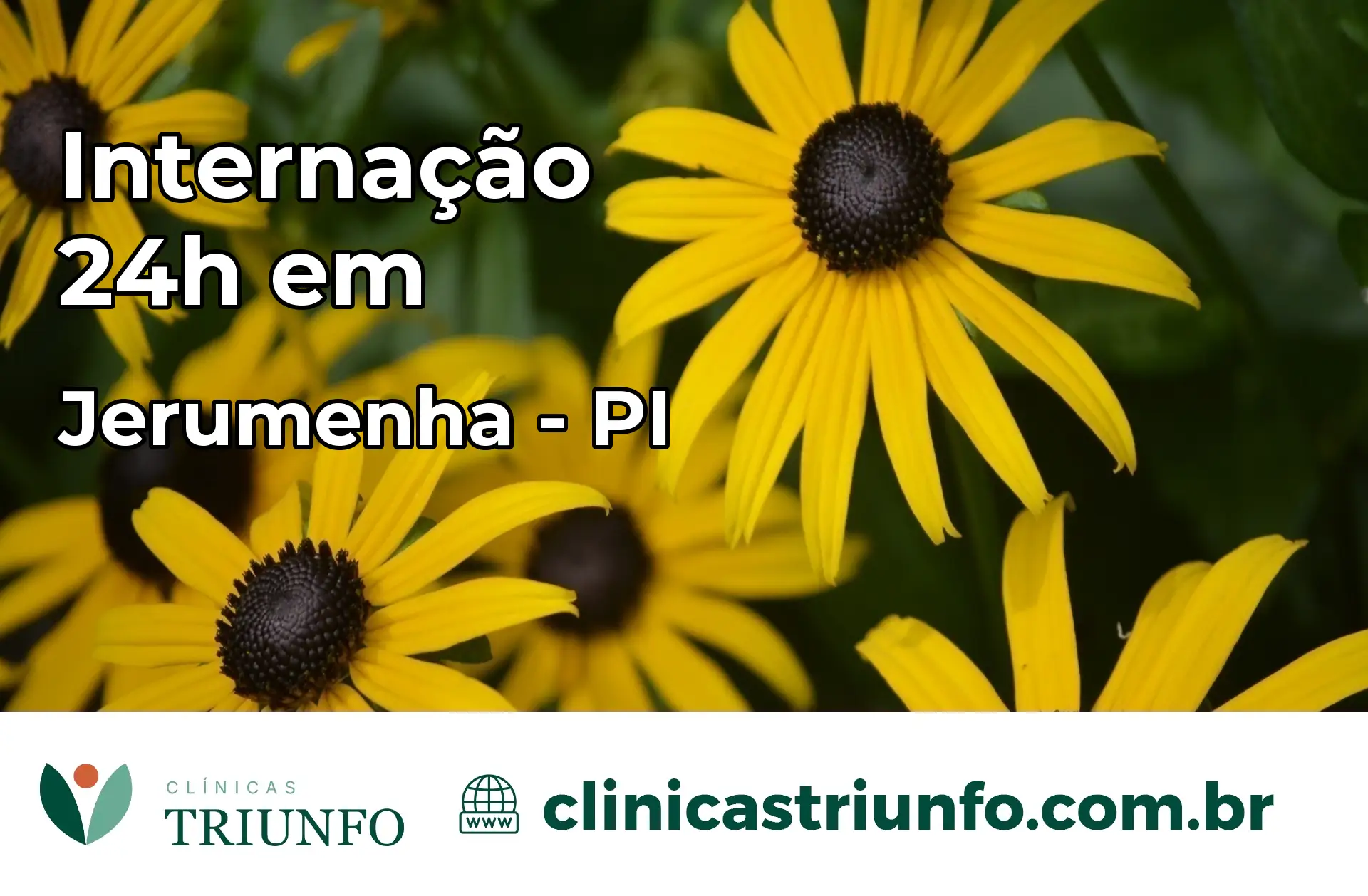 Internação 24 horas em Jerumenha – PI
