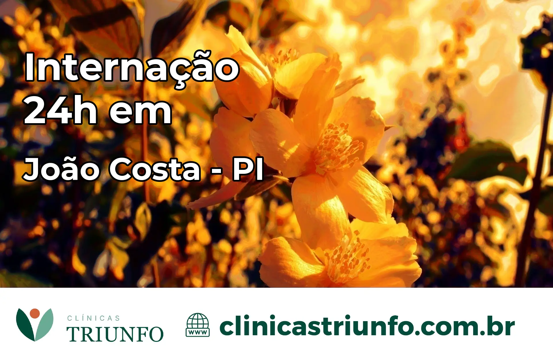 Internação 24 horas em João Costa – PI