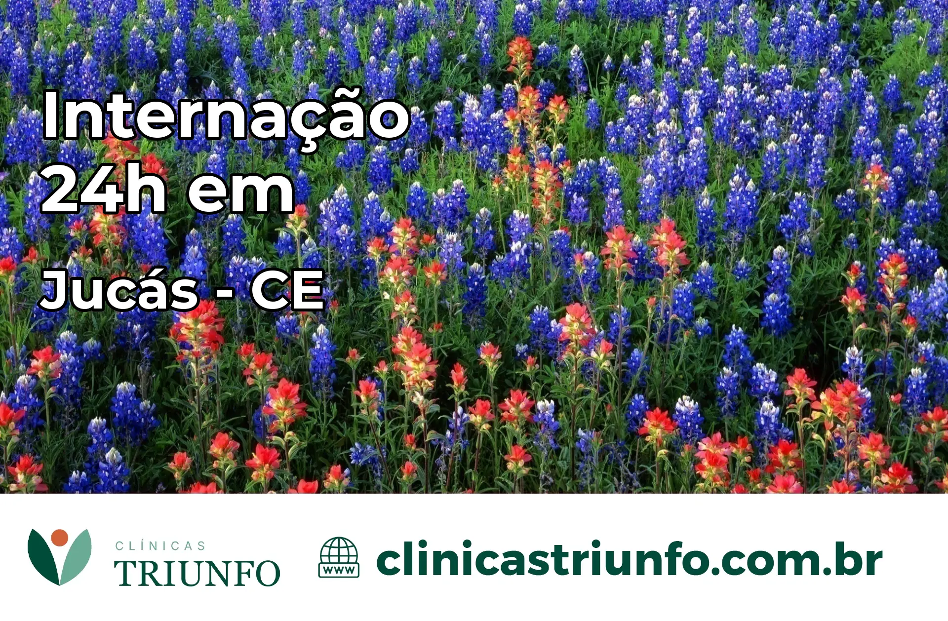 Internação 24 horas em Jucás – CE