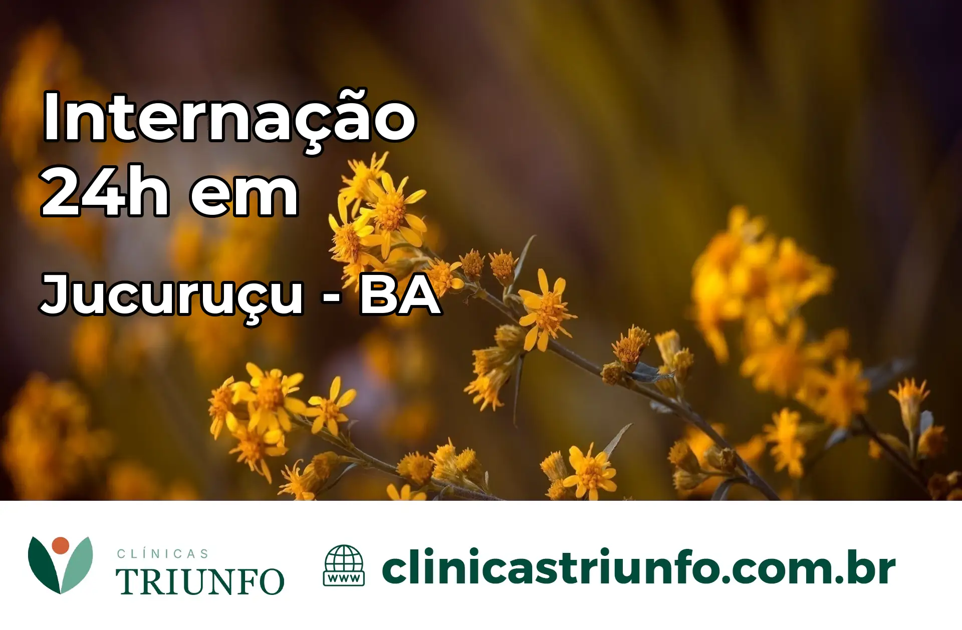 Internação 24 horas em Jucuruçu – BA