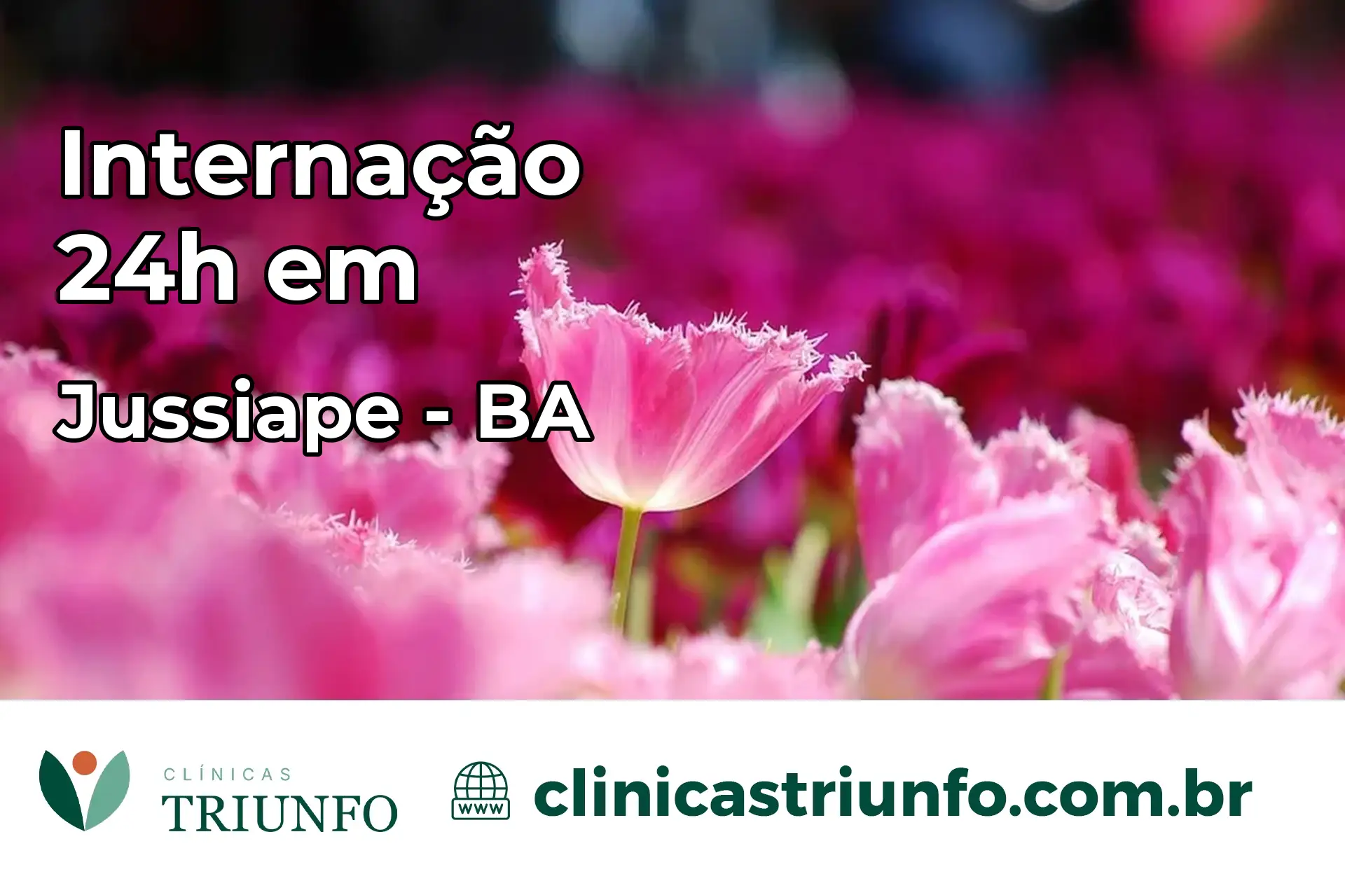Internação 24 horas em Jussiape – BA