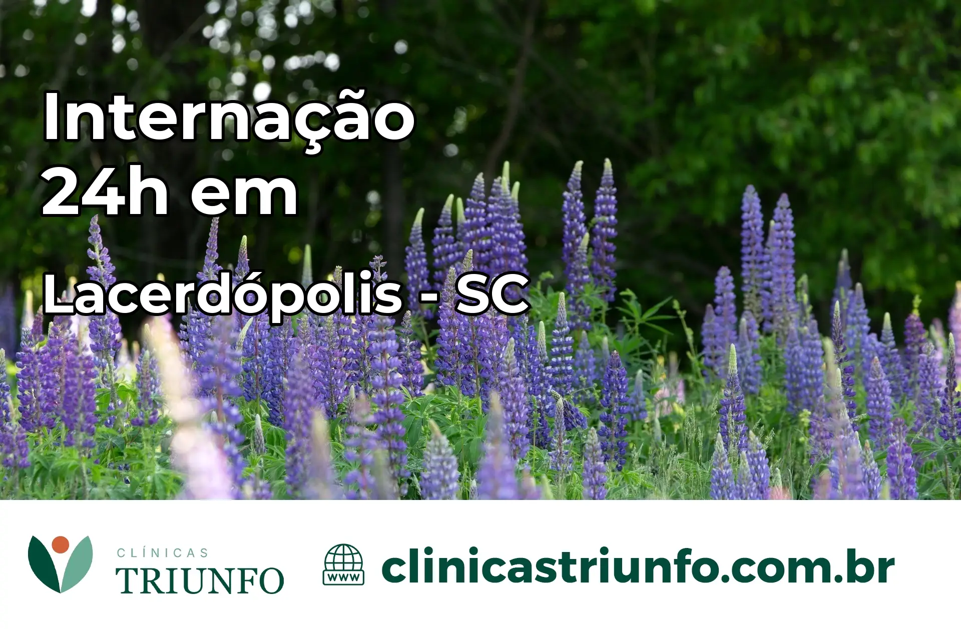 Internação 24 horas em Lacerdópolis – SC