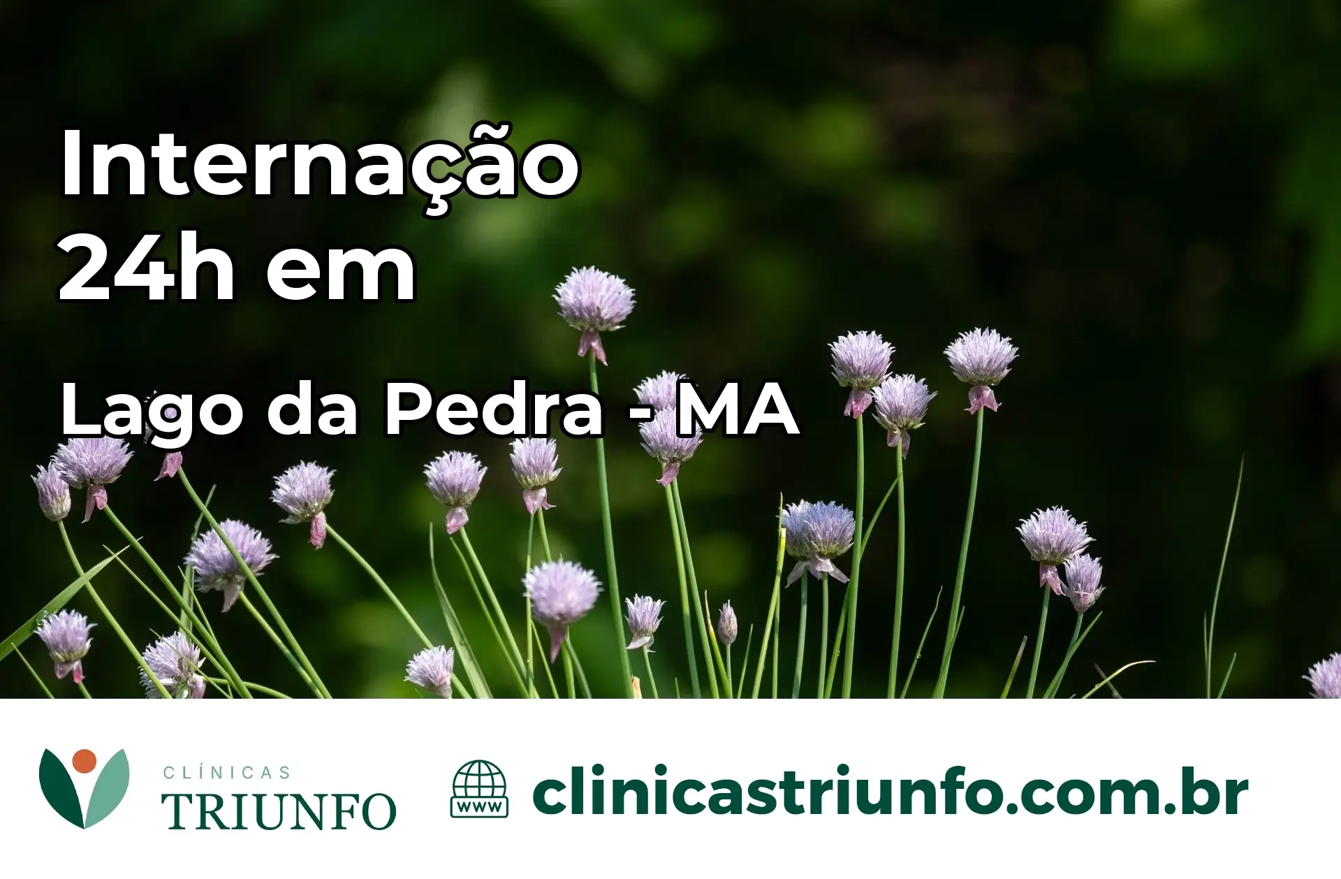 Internação 24 horas em Lago da Pedra – MA