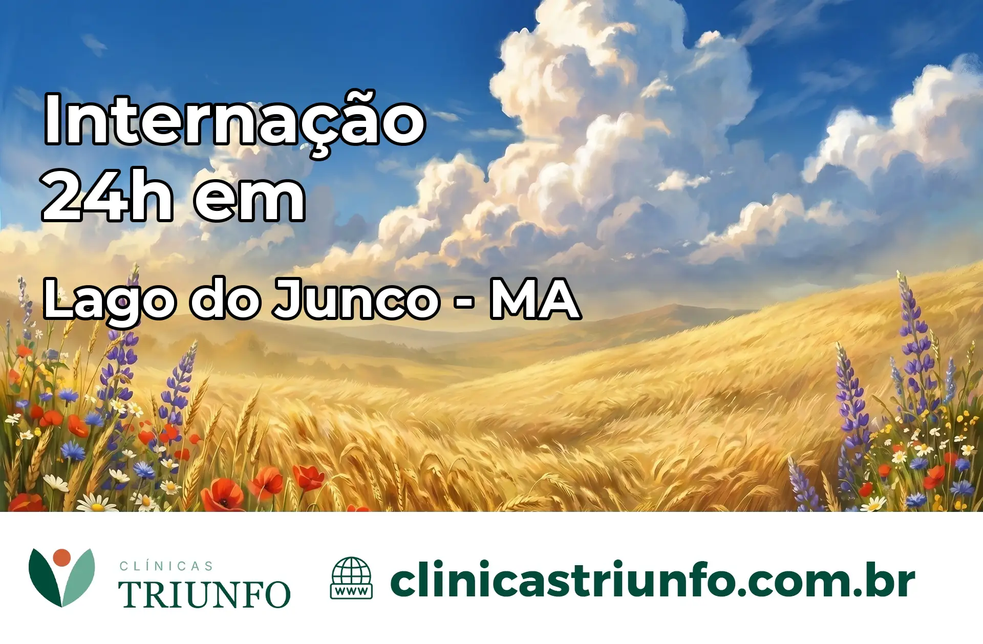 Internação 24 horas em Lago do Junco – MA