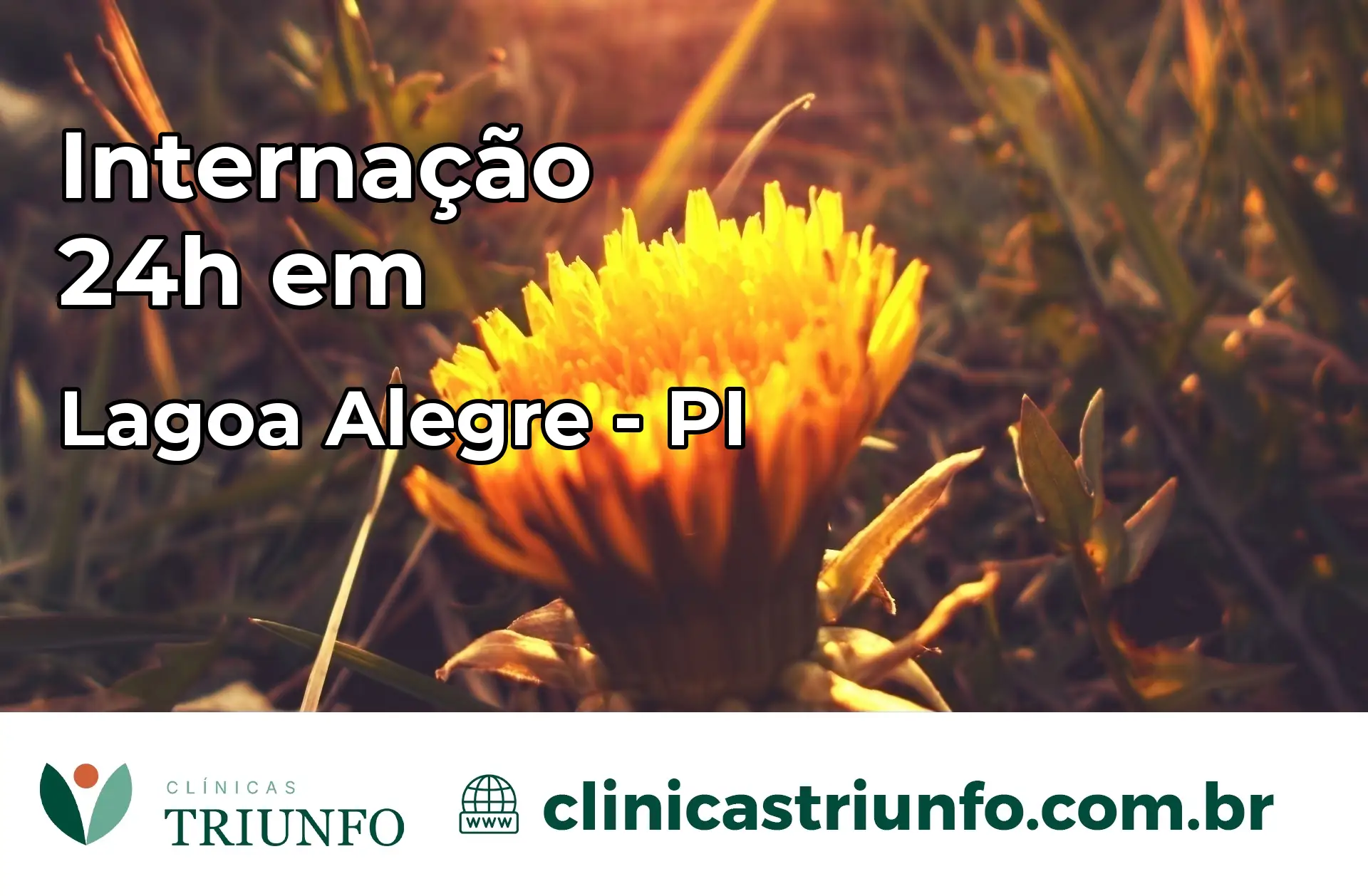Internação 24 horas em Lagoa Alegre – PI