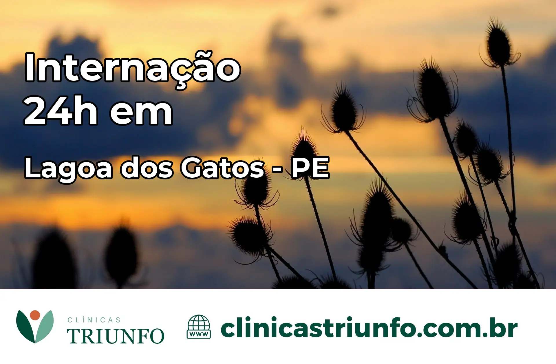 Internação 24 horas em Lagoa dos Gatos – PE
