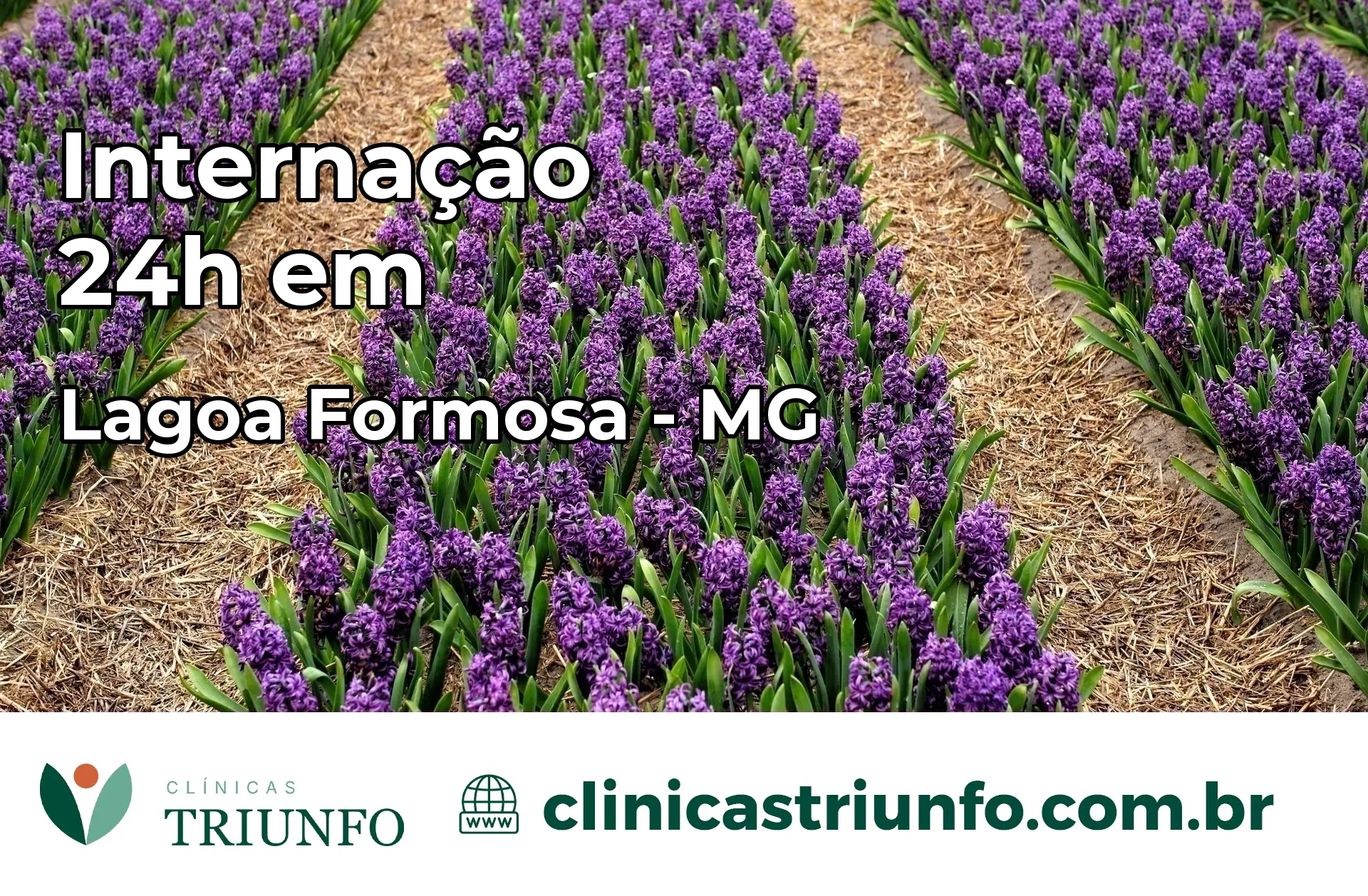 Internação 24 horas em Lagoa Formosa – MG