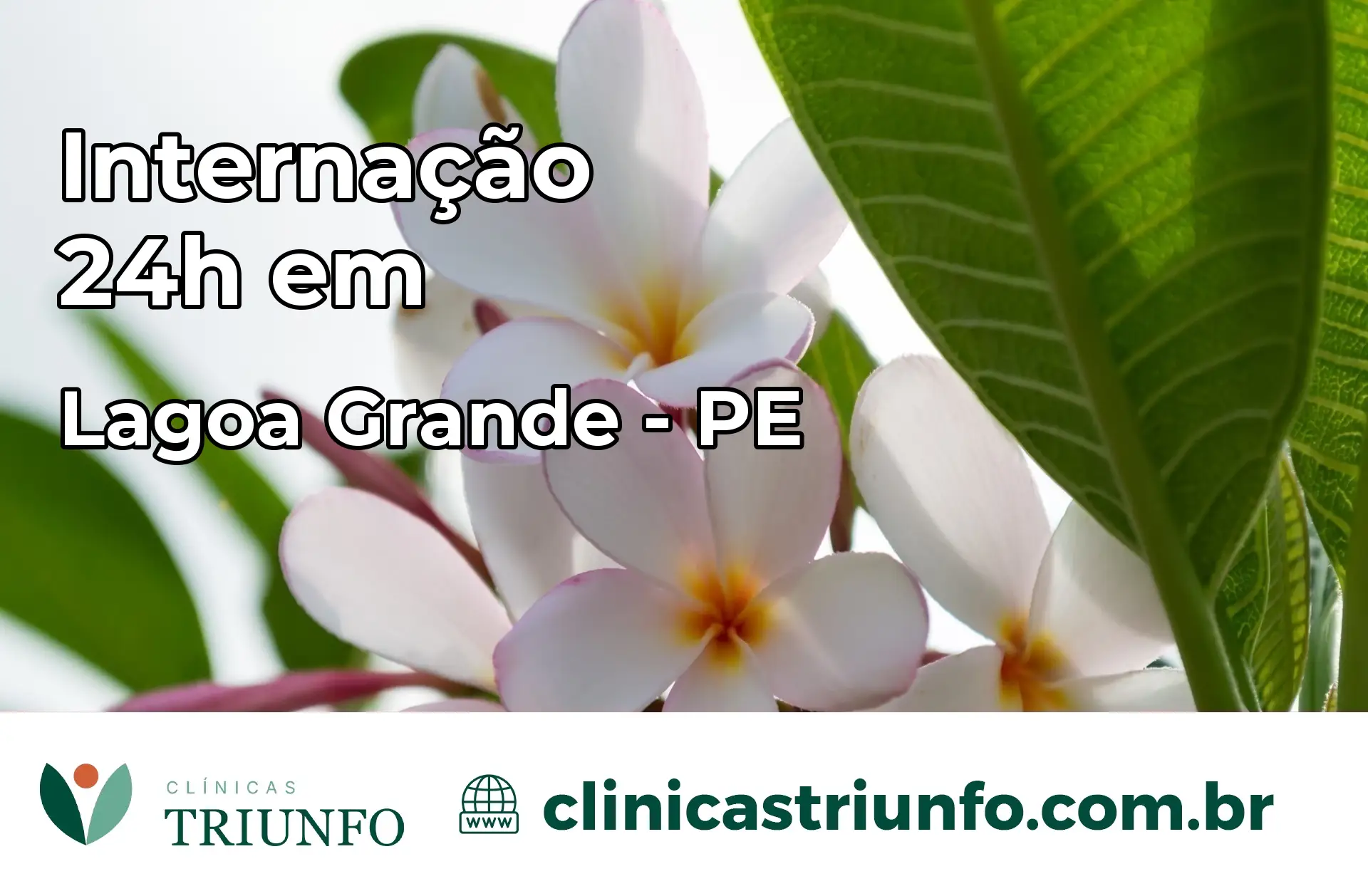 Internação 24 horas em Lagoa Grande – PE